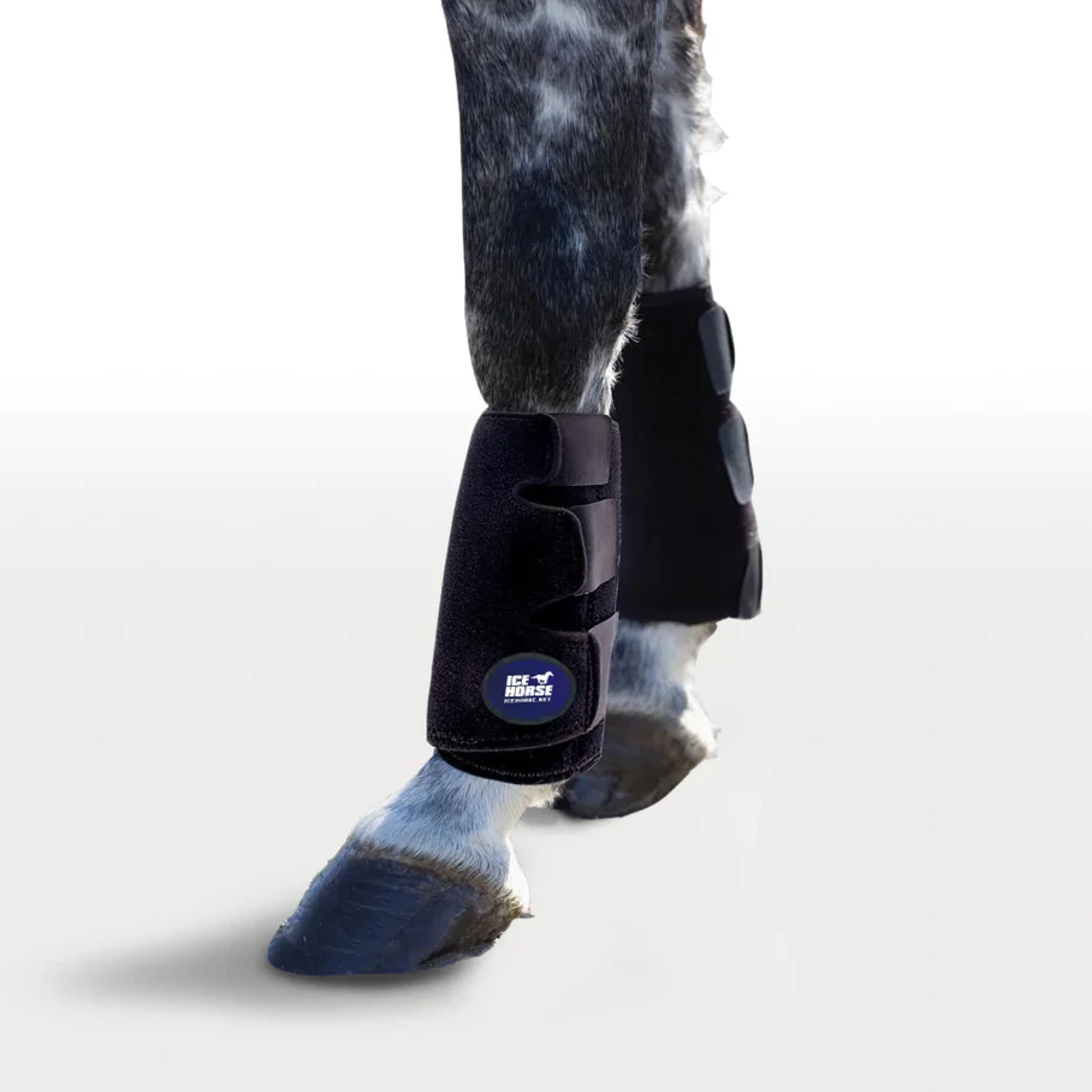 Ice Horse Tendon Wrap pair
