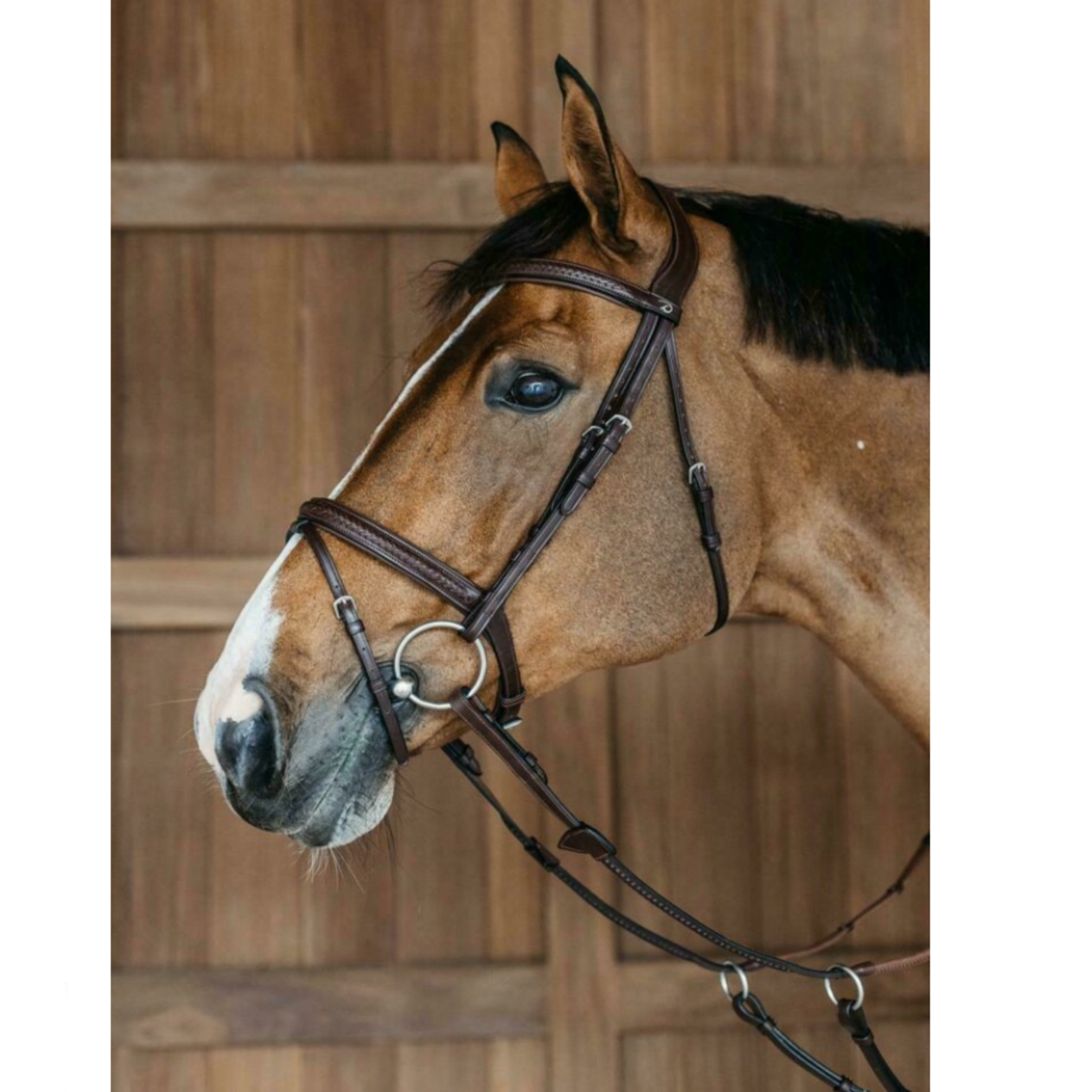 Dyon Plaited Bridle w/ Flash