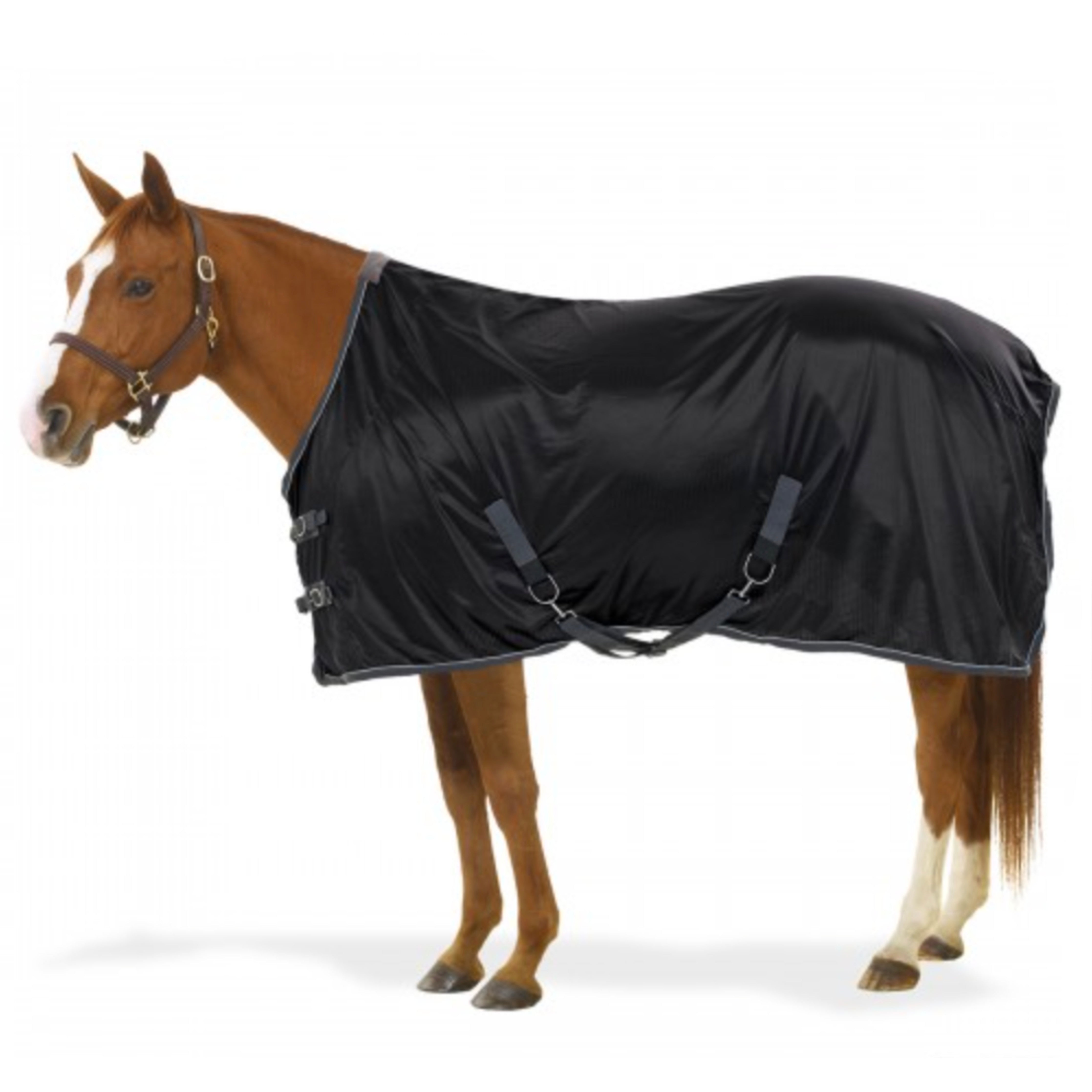 Centaur Athletic Airflex Stable Sheet