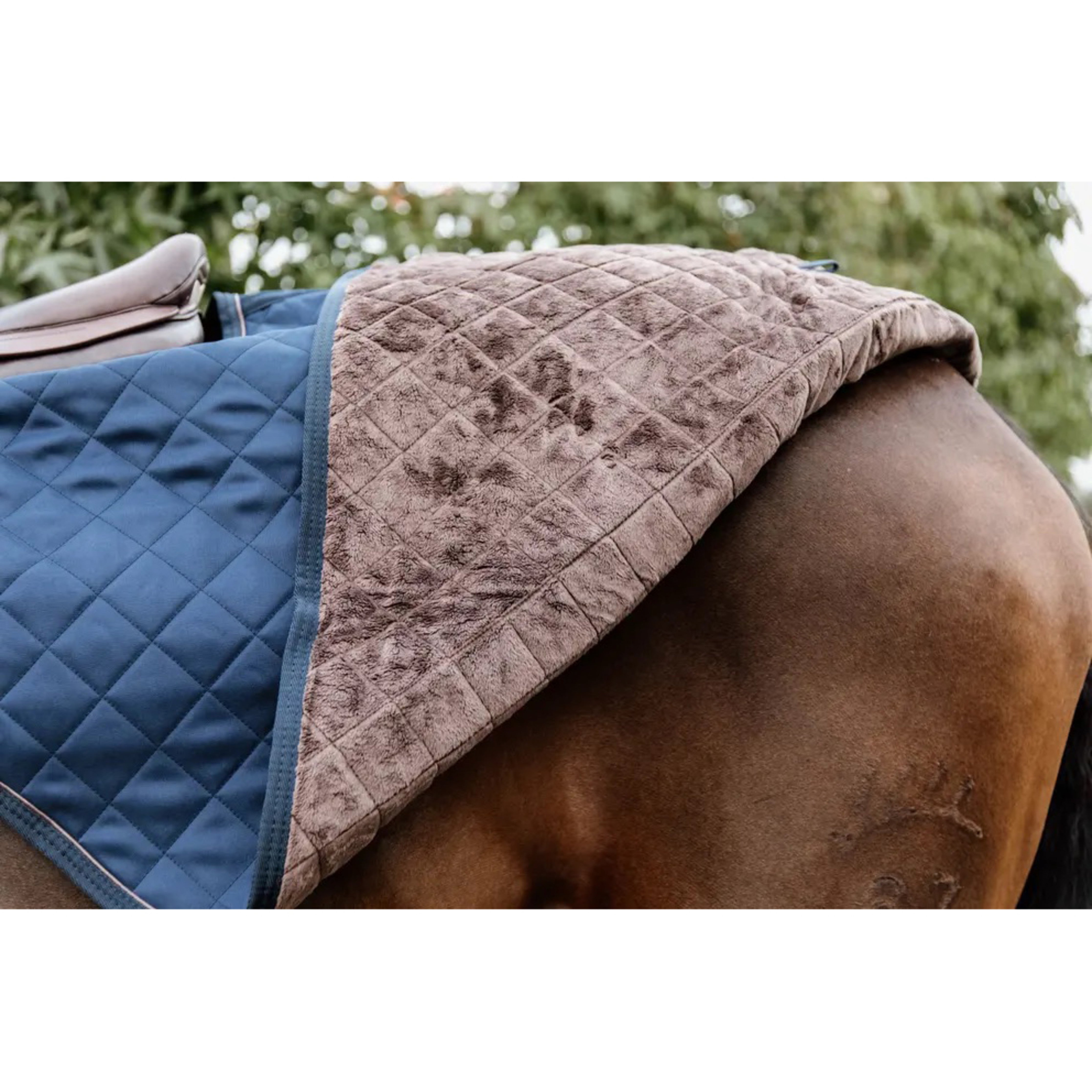 Kentucky Riding Rug