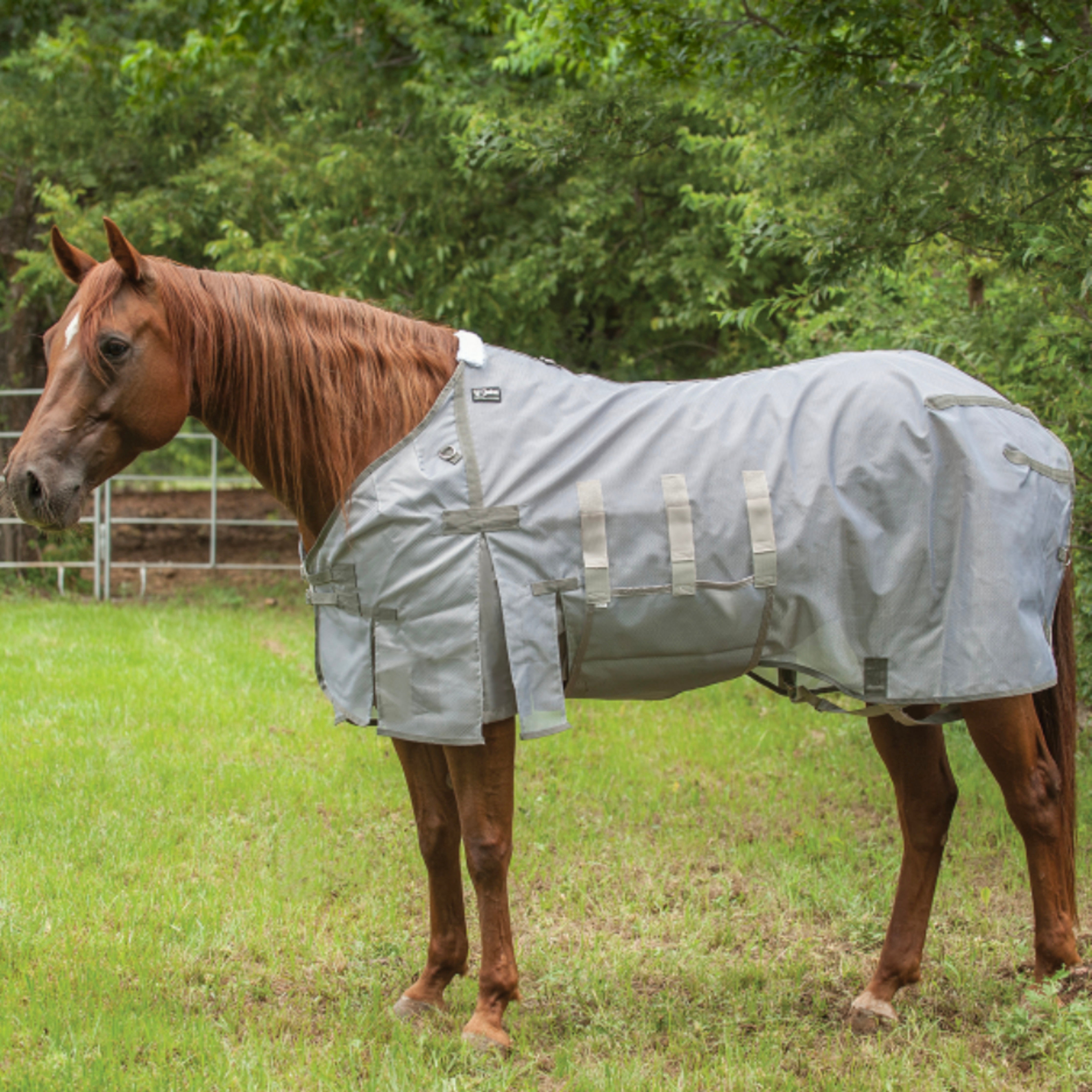 Cashel Crusader Fly Sheet