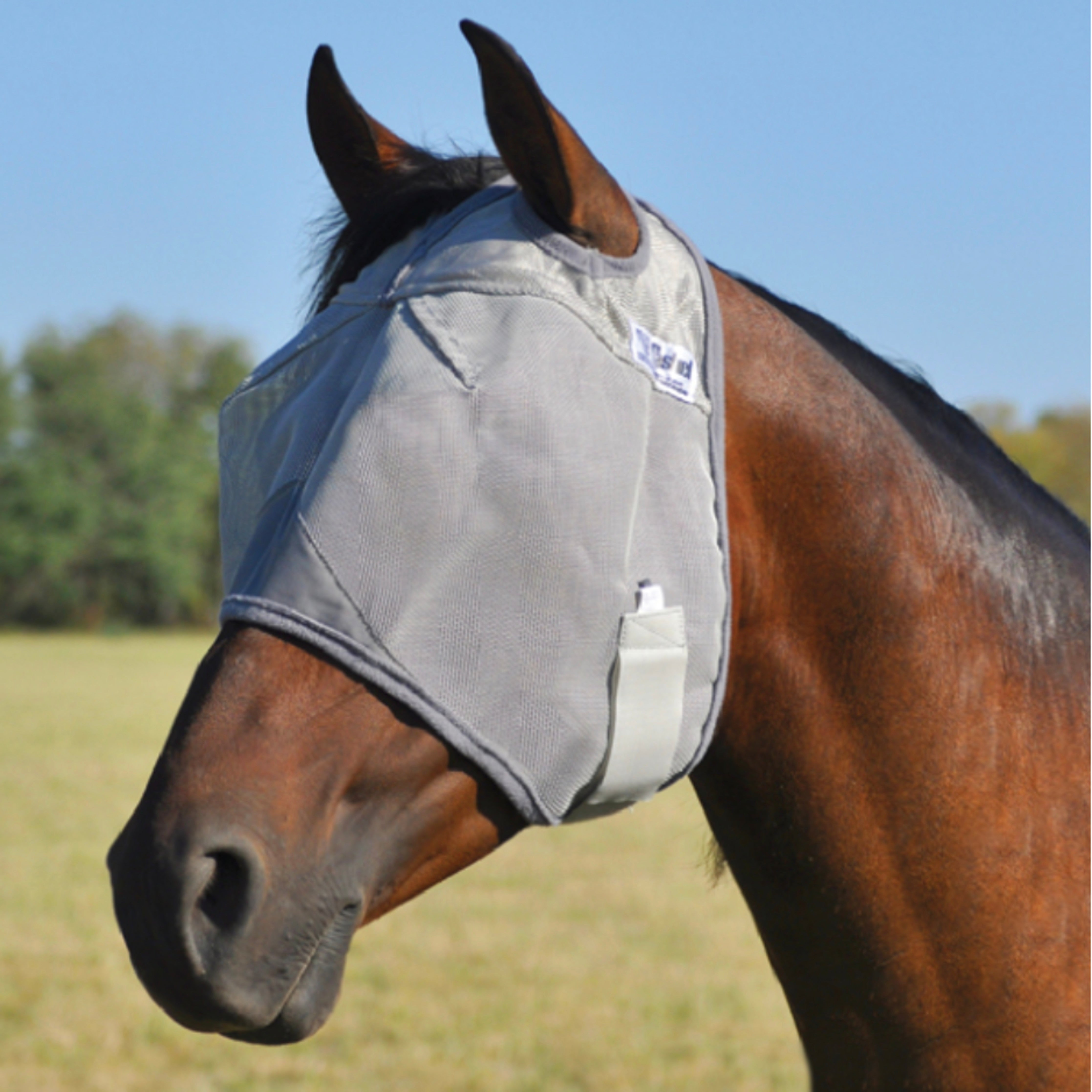 Cashel Crusader Flymask Standard