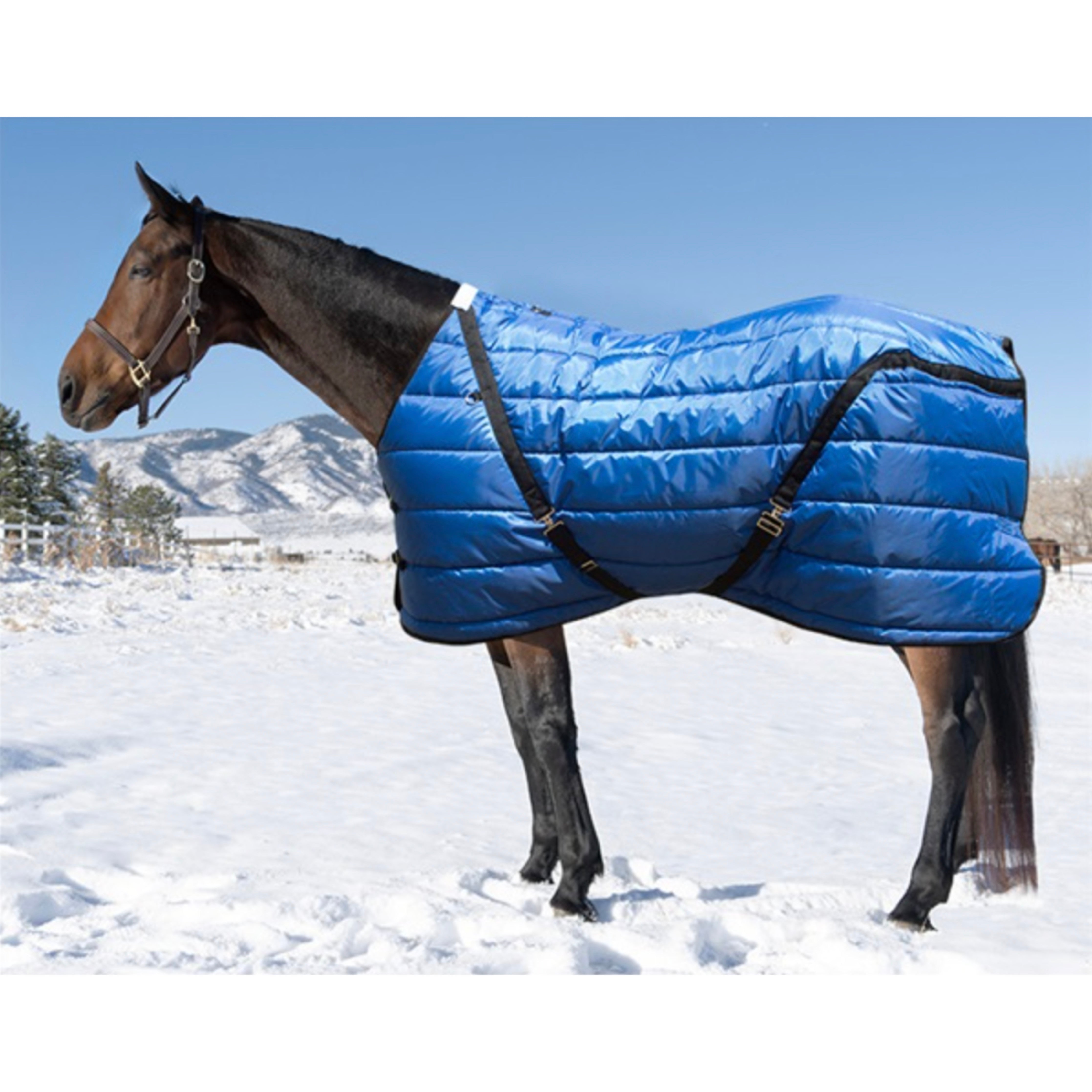 Jacks Quilted Stable Blanket