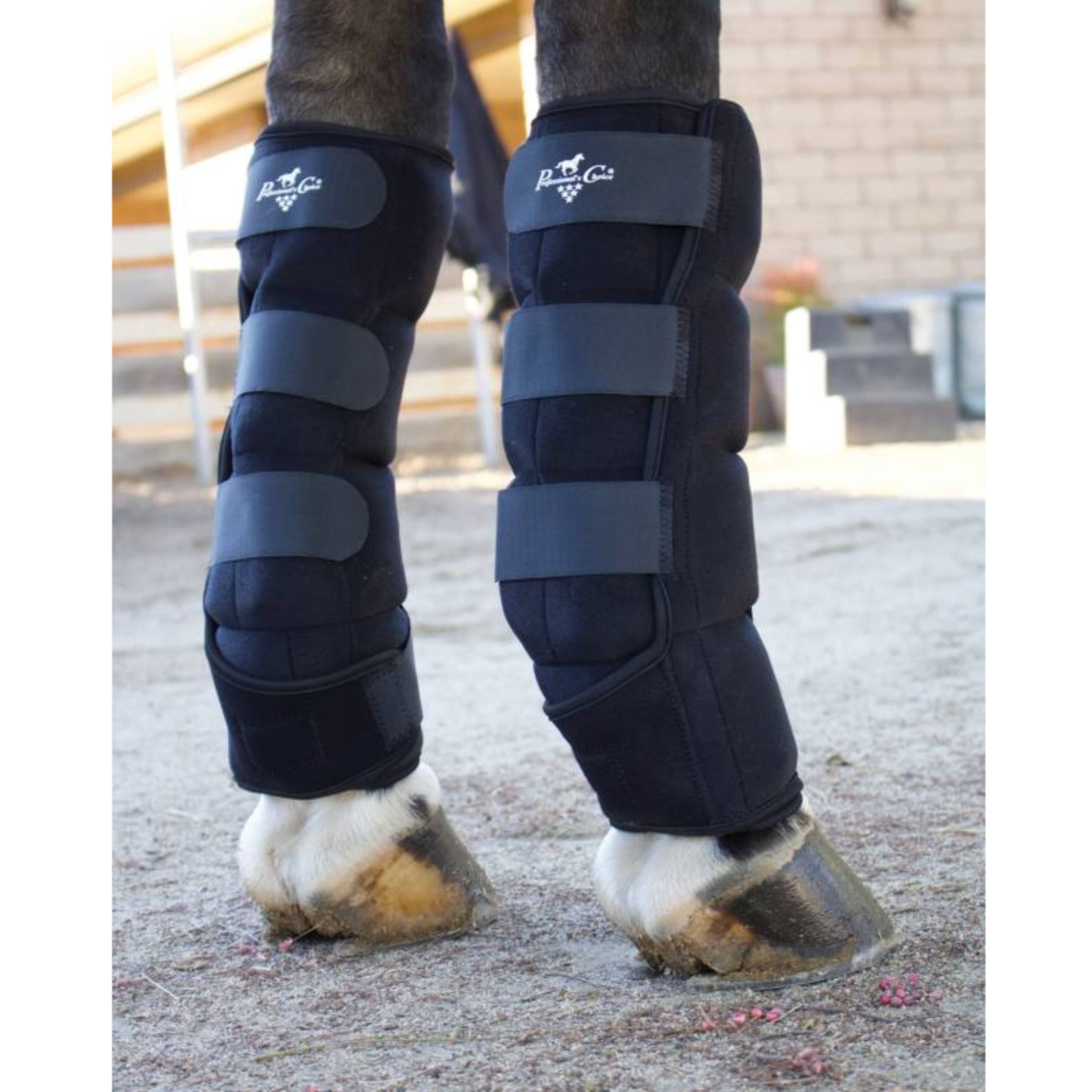 Pro Choice Ice Boot pair