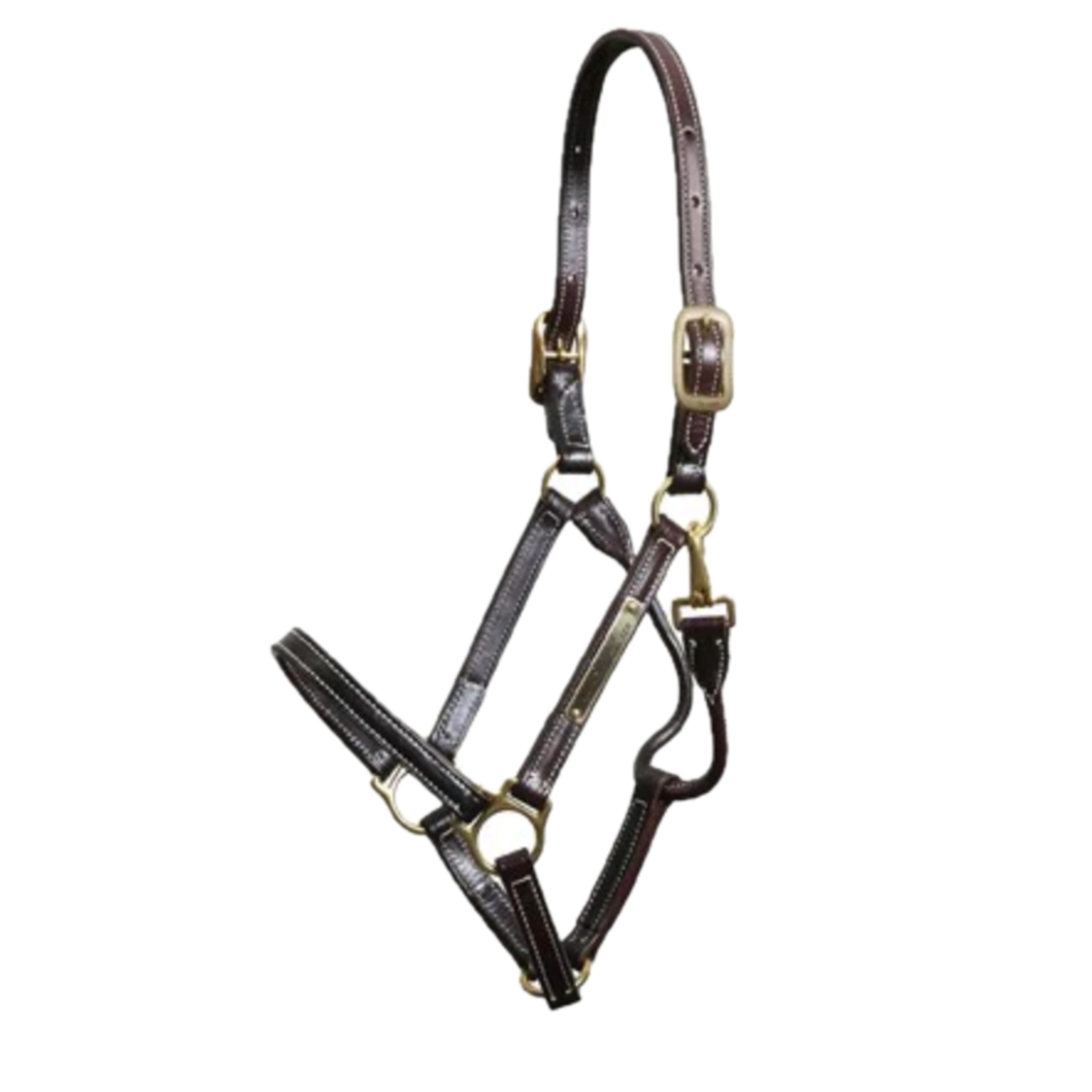 Walsh Showman Halter 3/4"