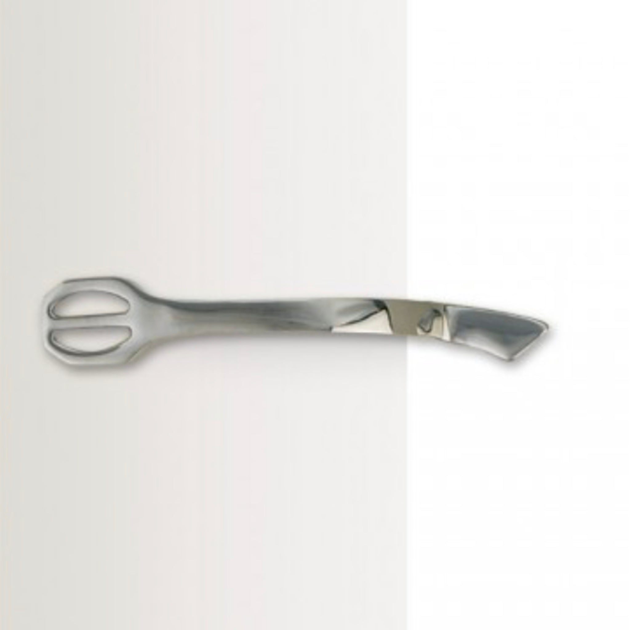 Centaur Stainless Steel Sharp German Style Spurs main image 0