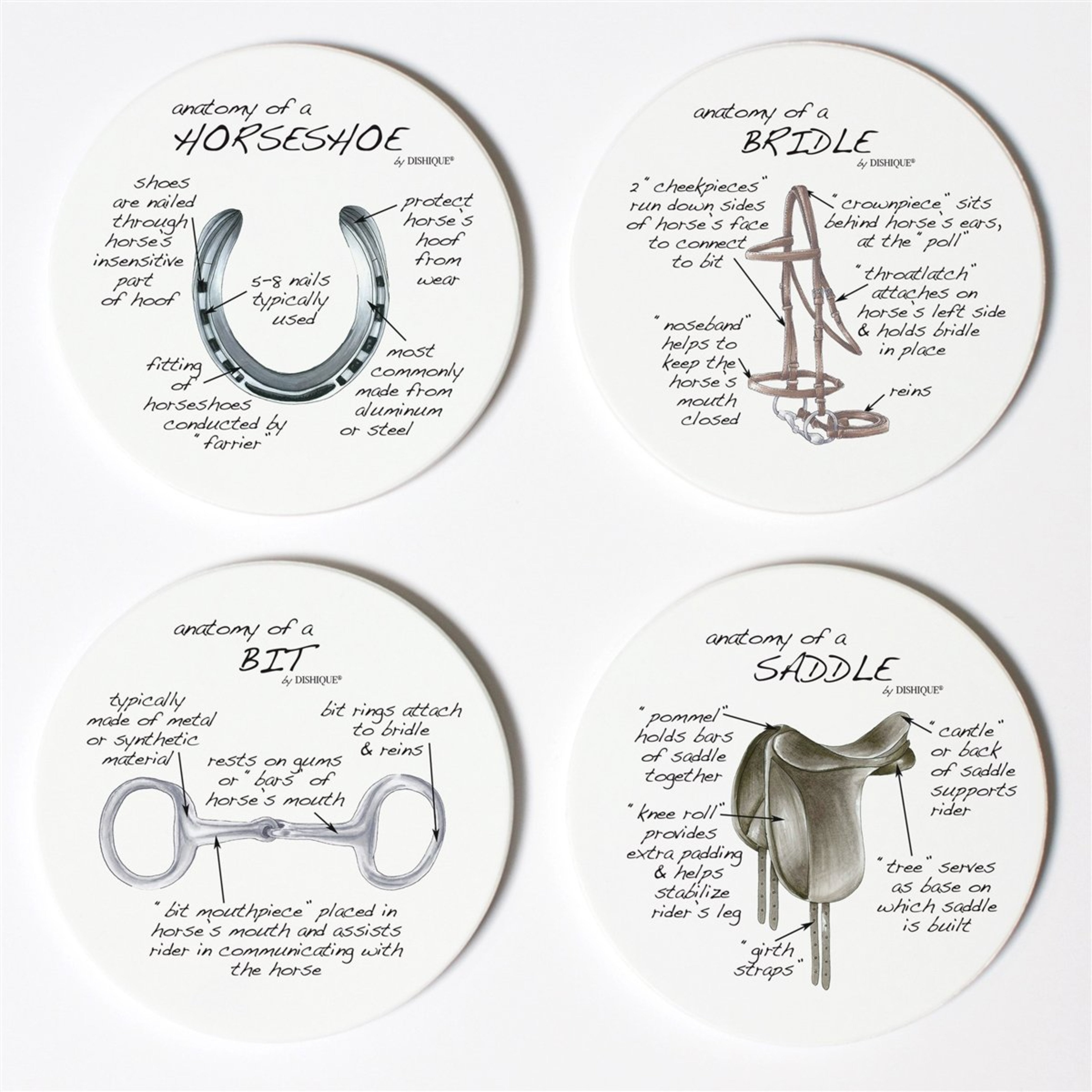 Equestrian Tack Anatomy Coasters (4-set)