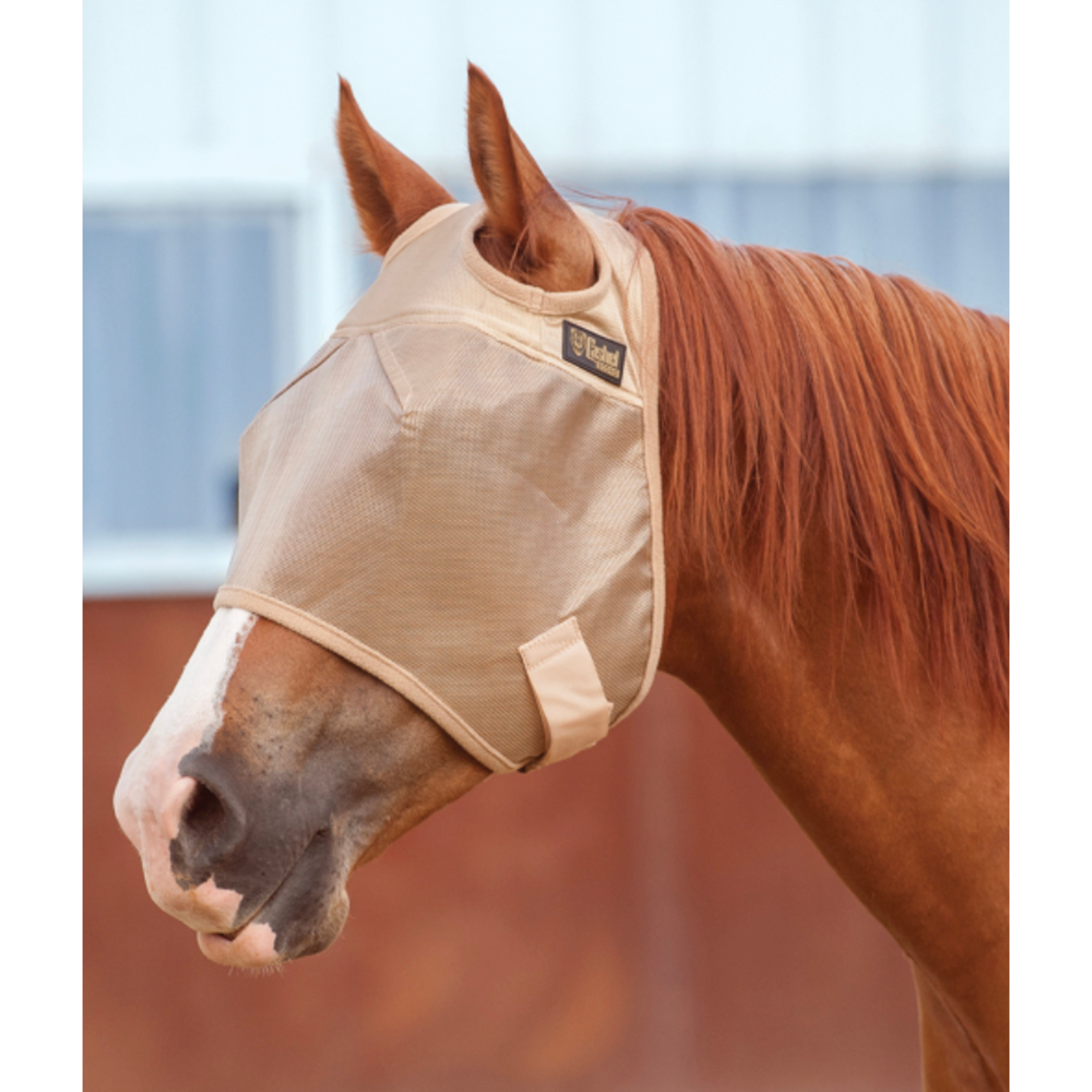 Cashel Economy Fly Mask