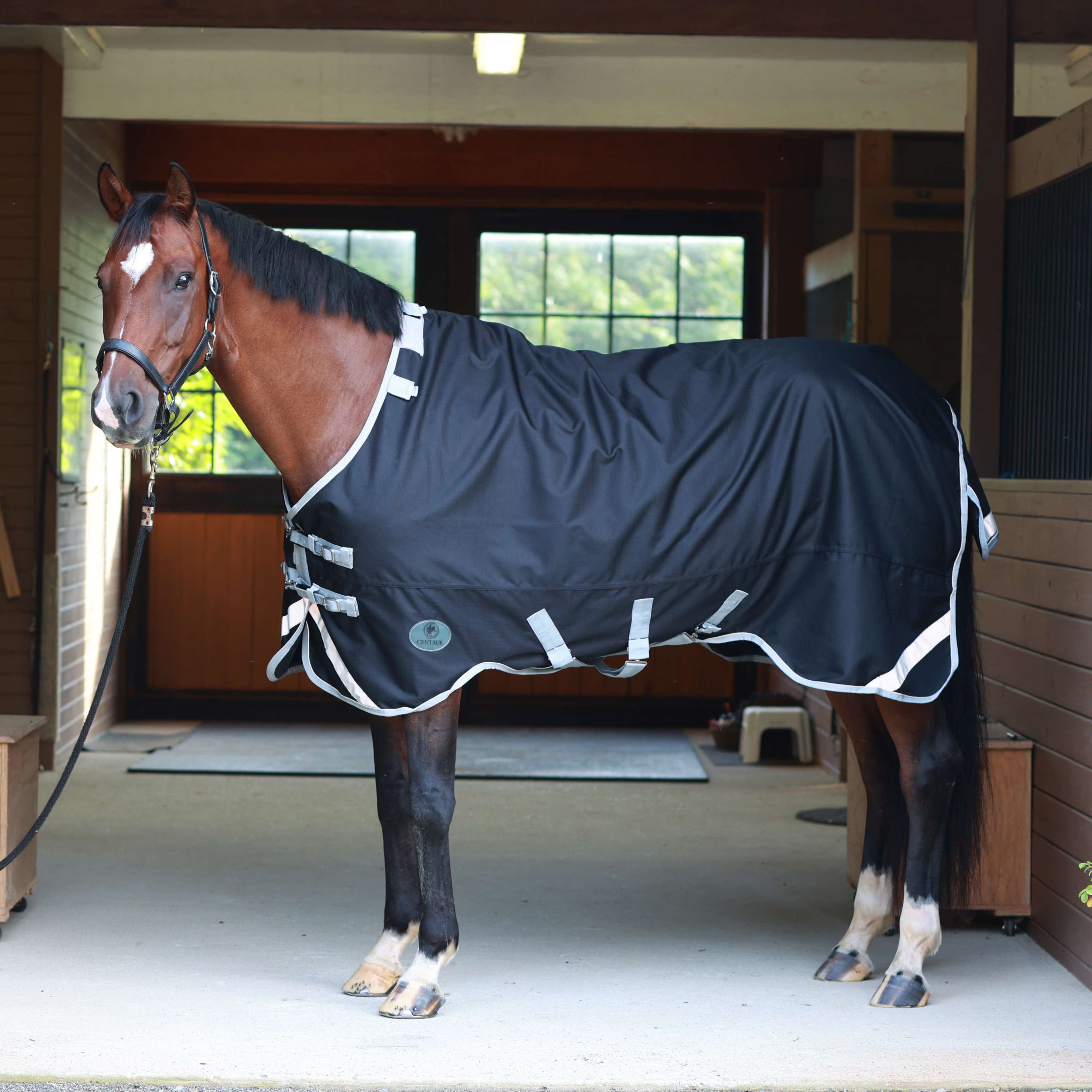 Centaur TG1 Turnout Blanket 100g