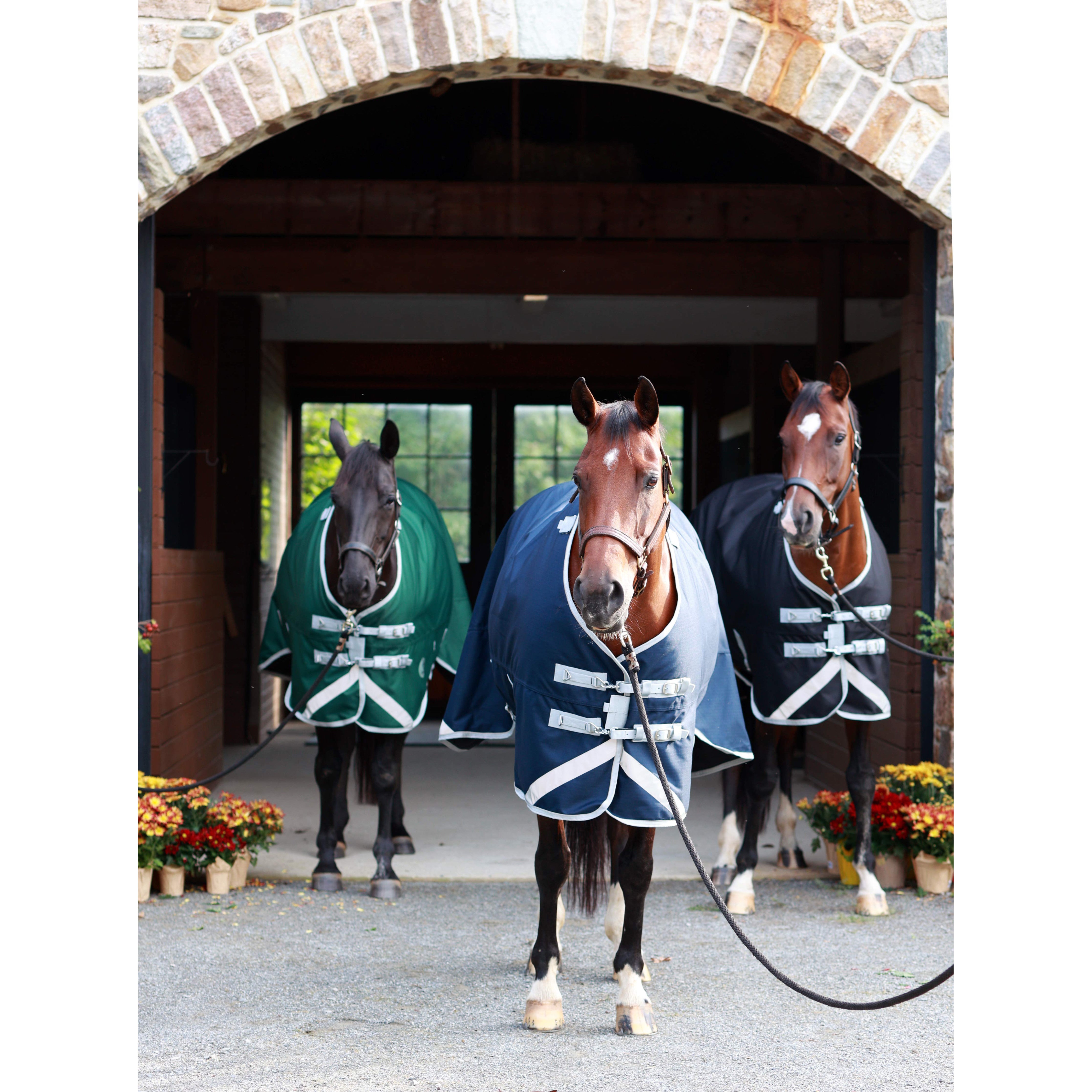 Centaur TG1 Turnout Blanket 100g