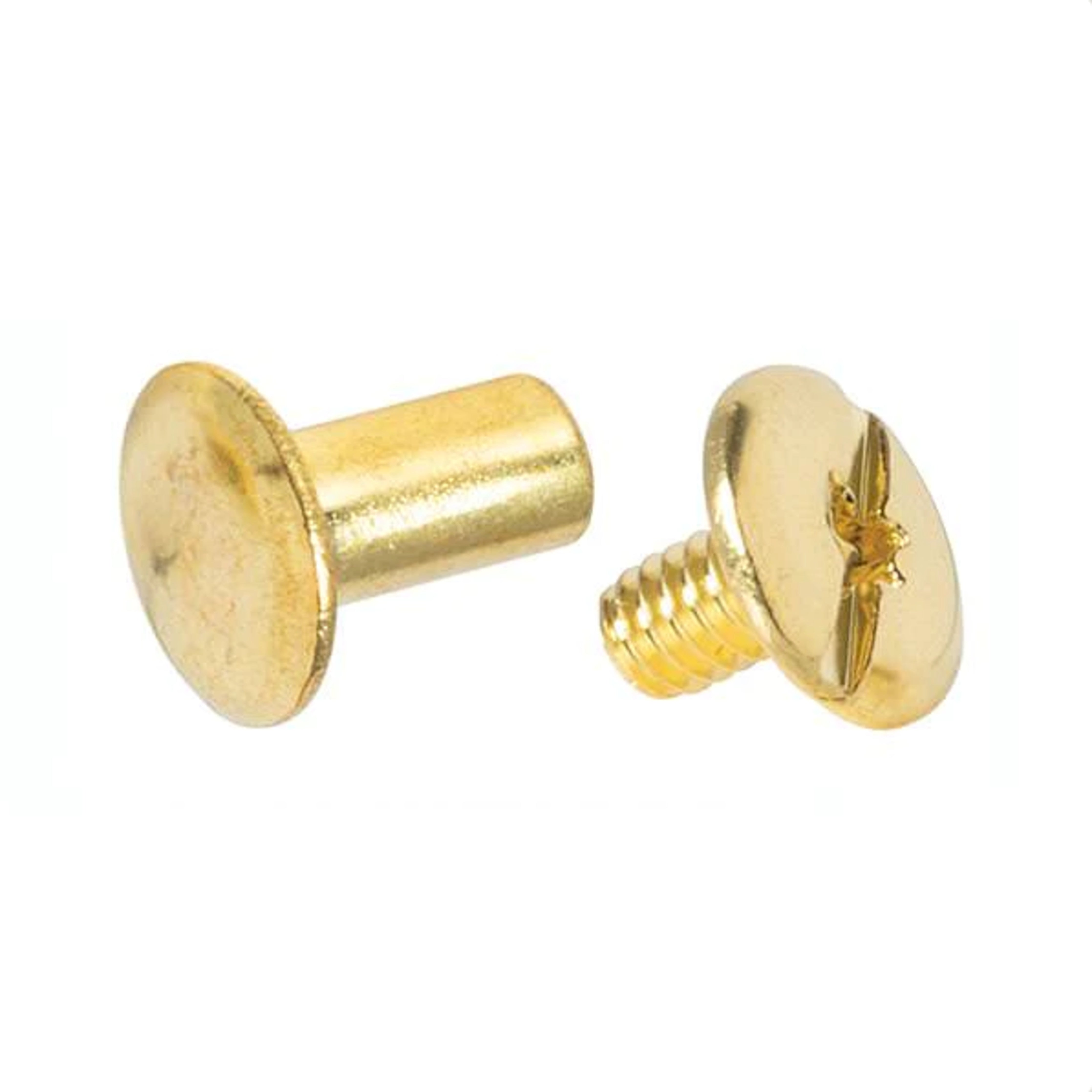 Chicago Screws Brass 10-pack