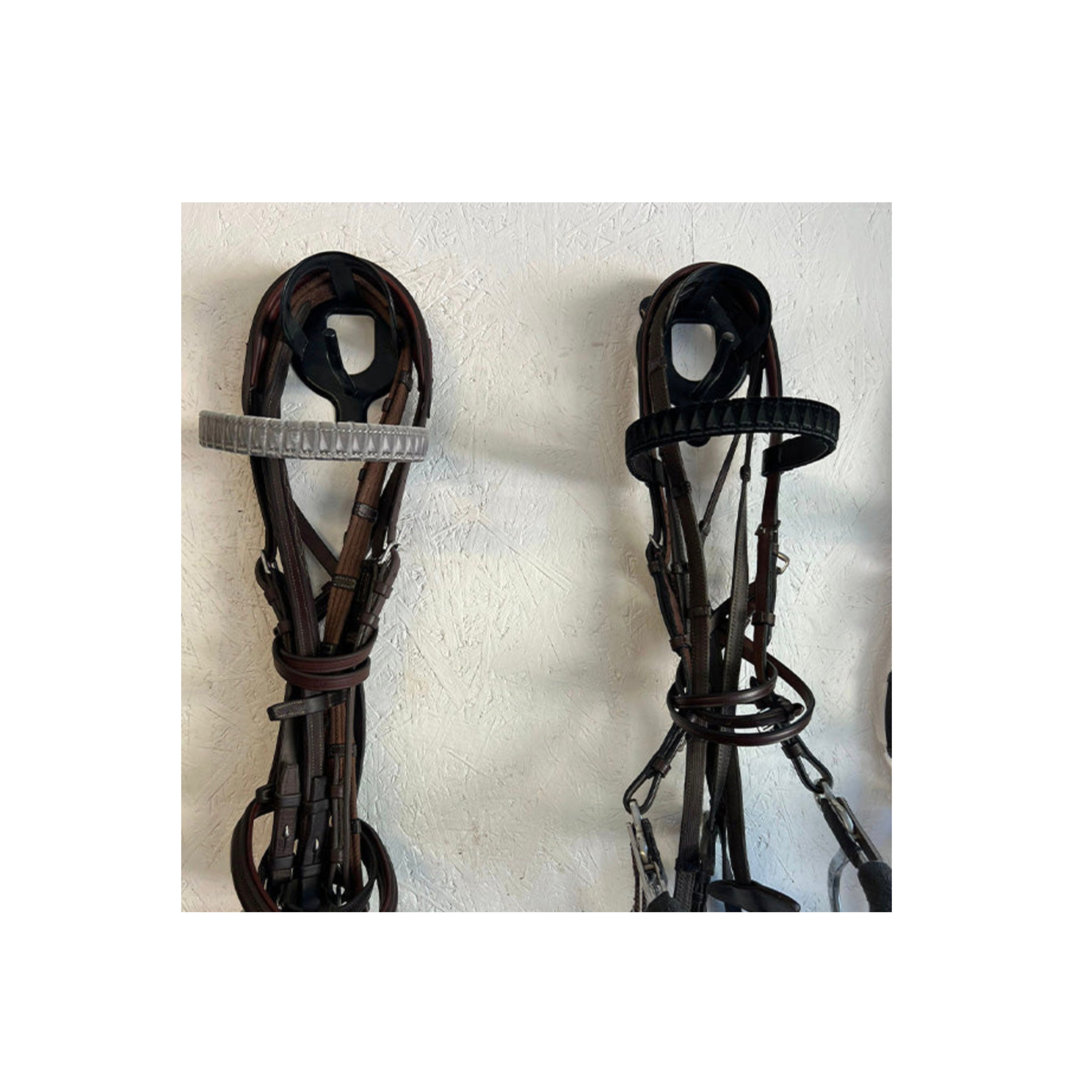 Get the Gallop Sharktooth Browband