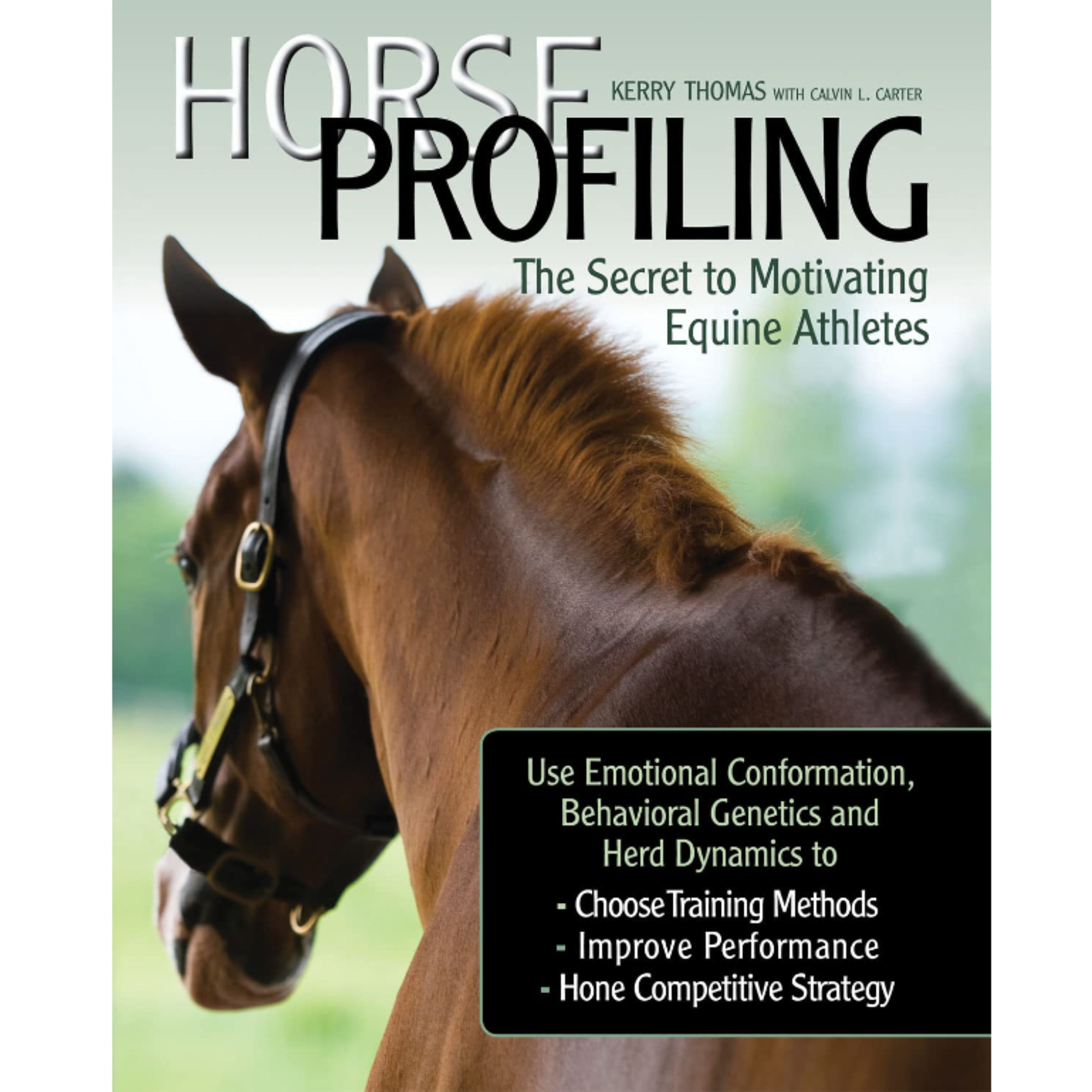 Horse Profiling: The Secret to Motivating Equine Athletes