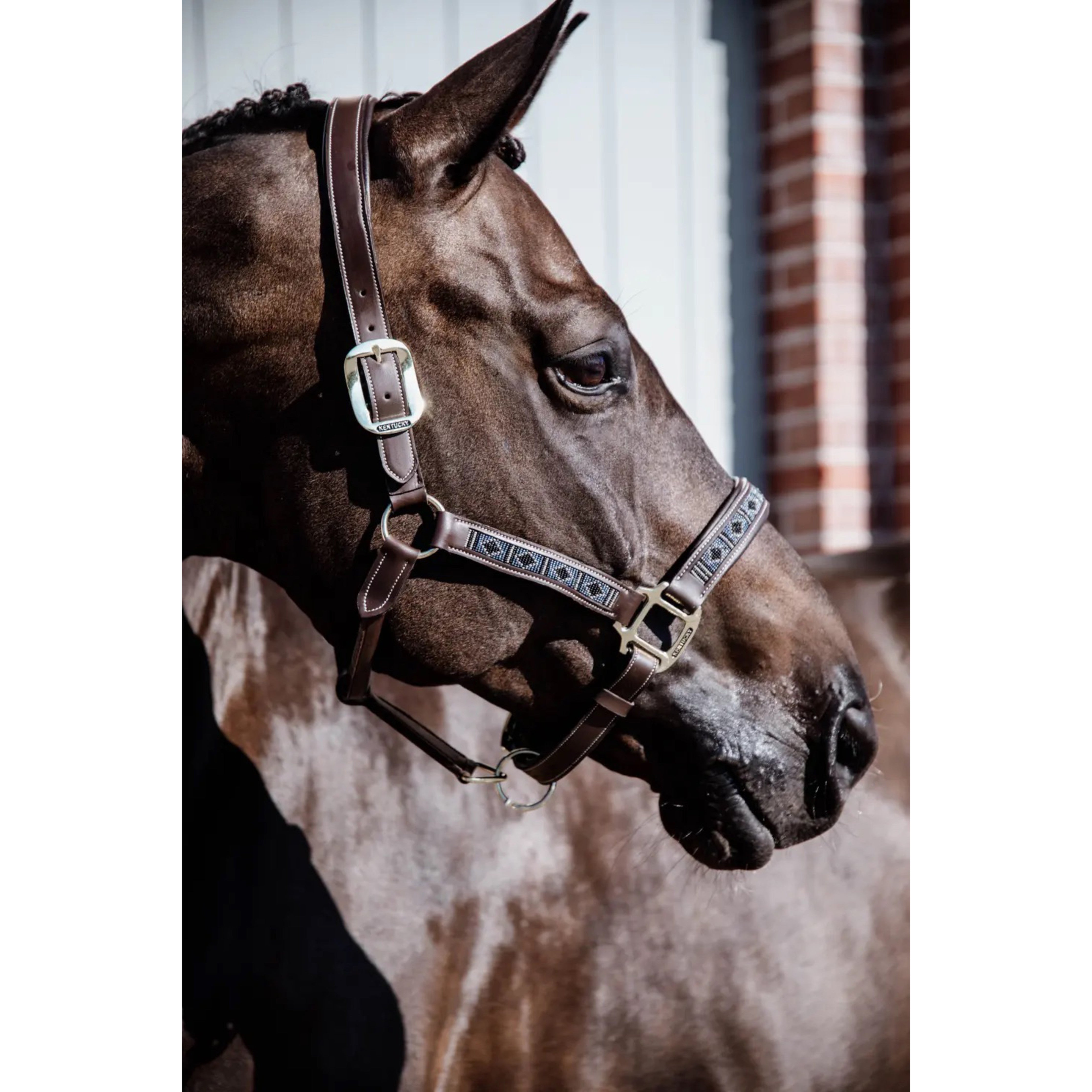 Kentucky Pearls Vegan Halter