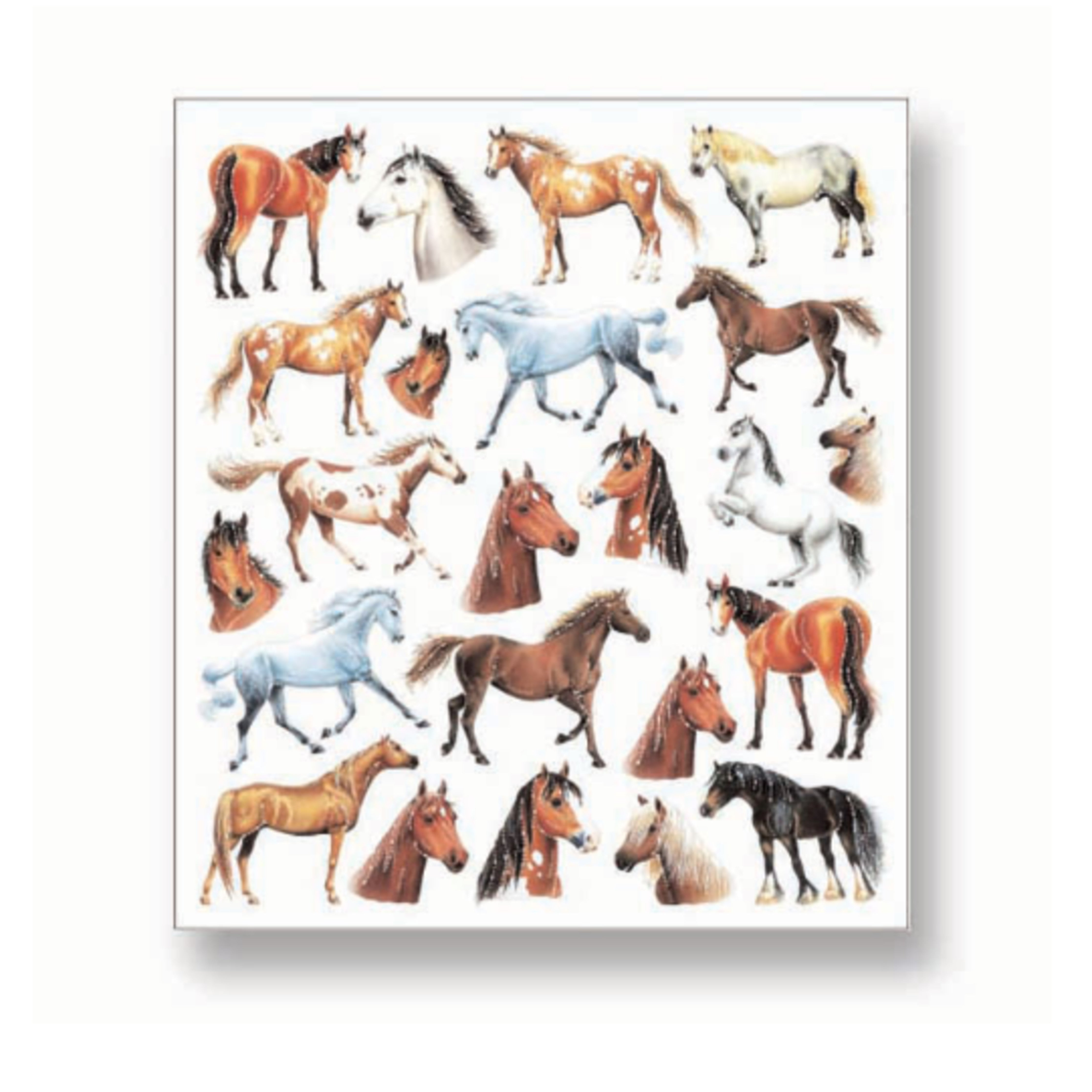 Horse Stickers