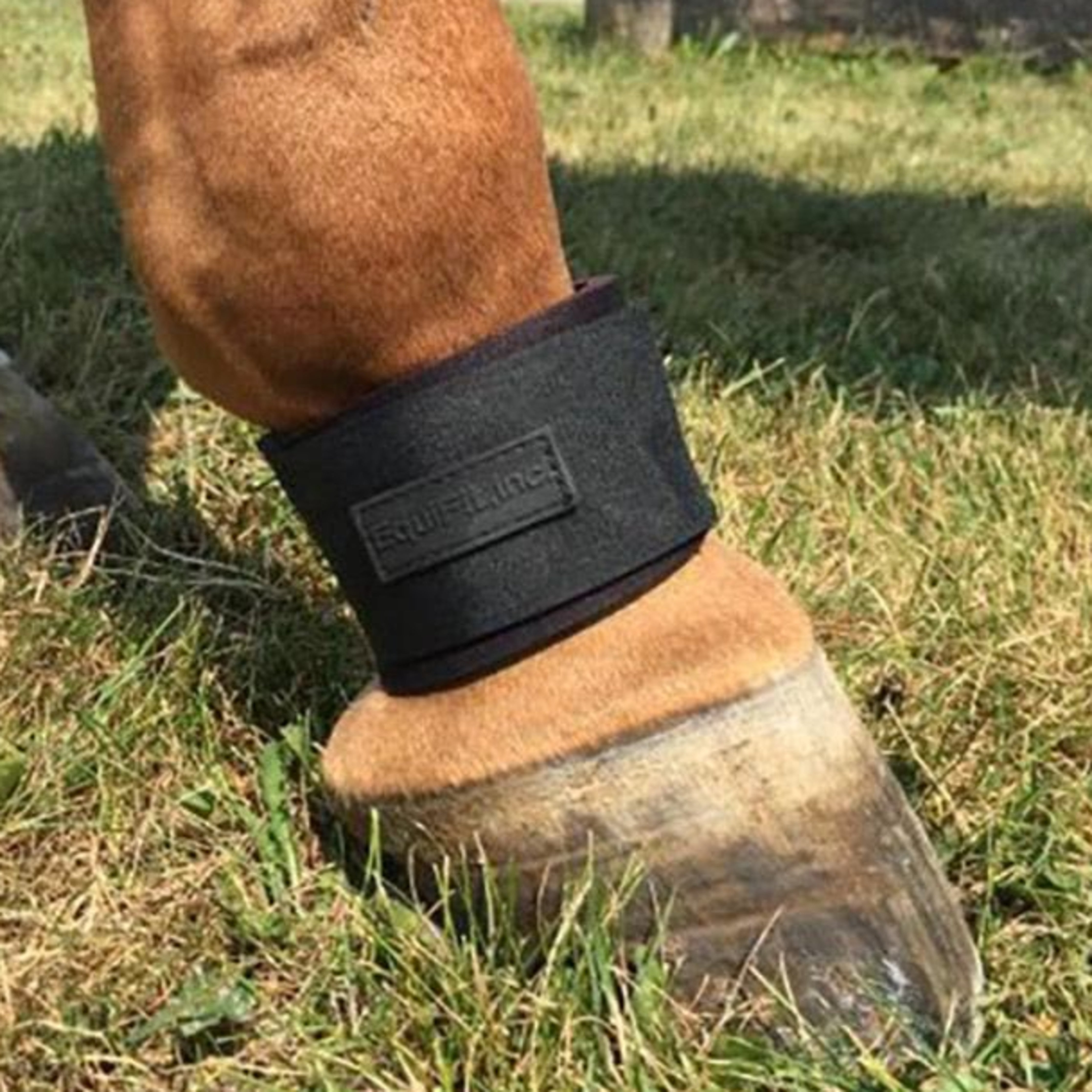 EquiFit Pastern Wrap