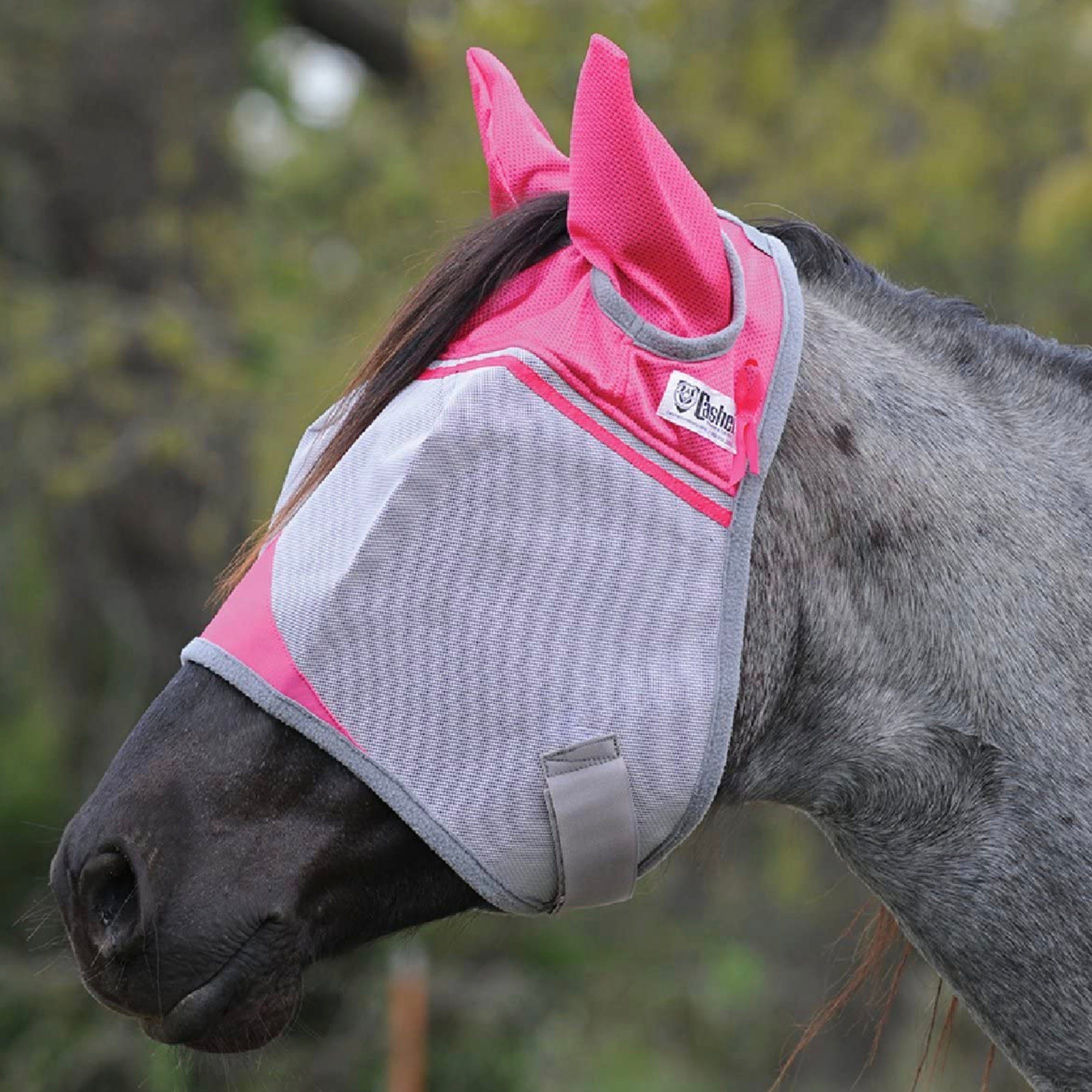 Cashel Crusader Flymask w/Colored Ears