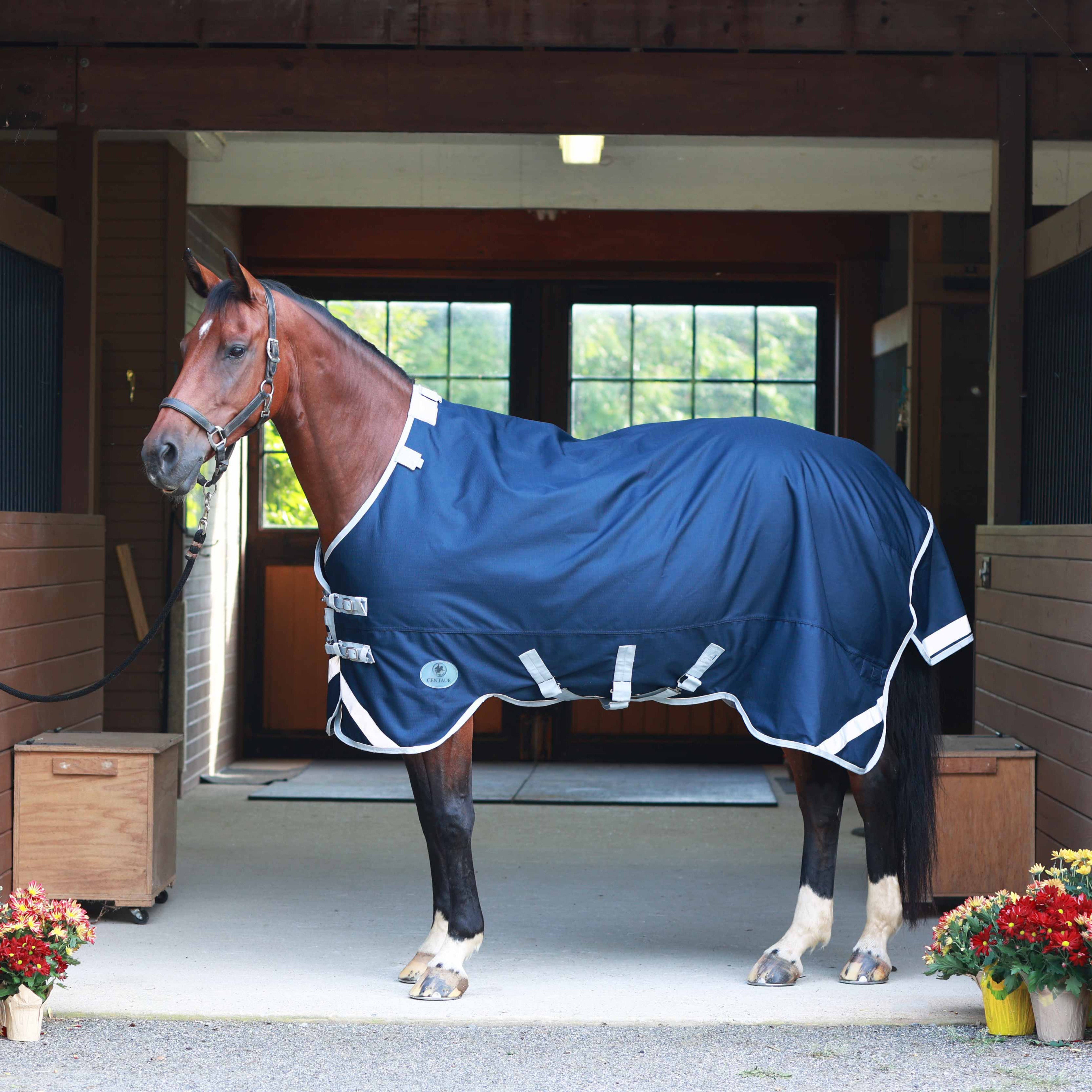 Centaur TG1 Turnout Blanket 100g