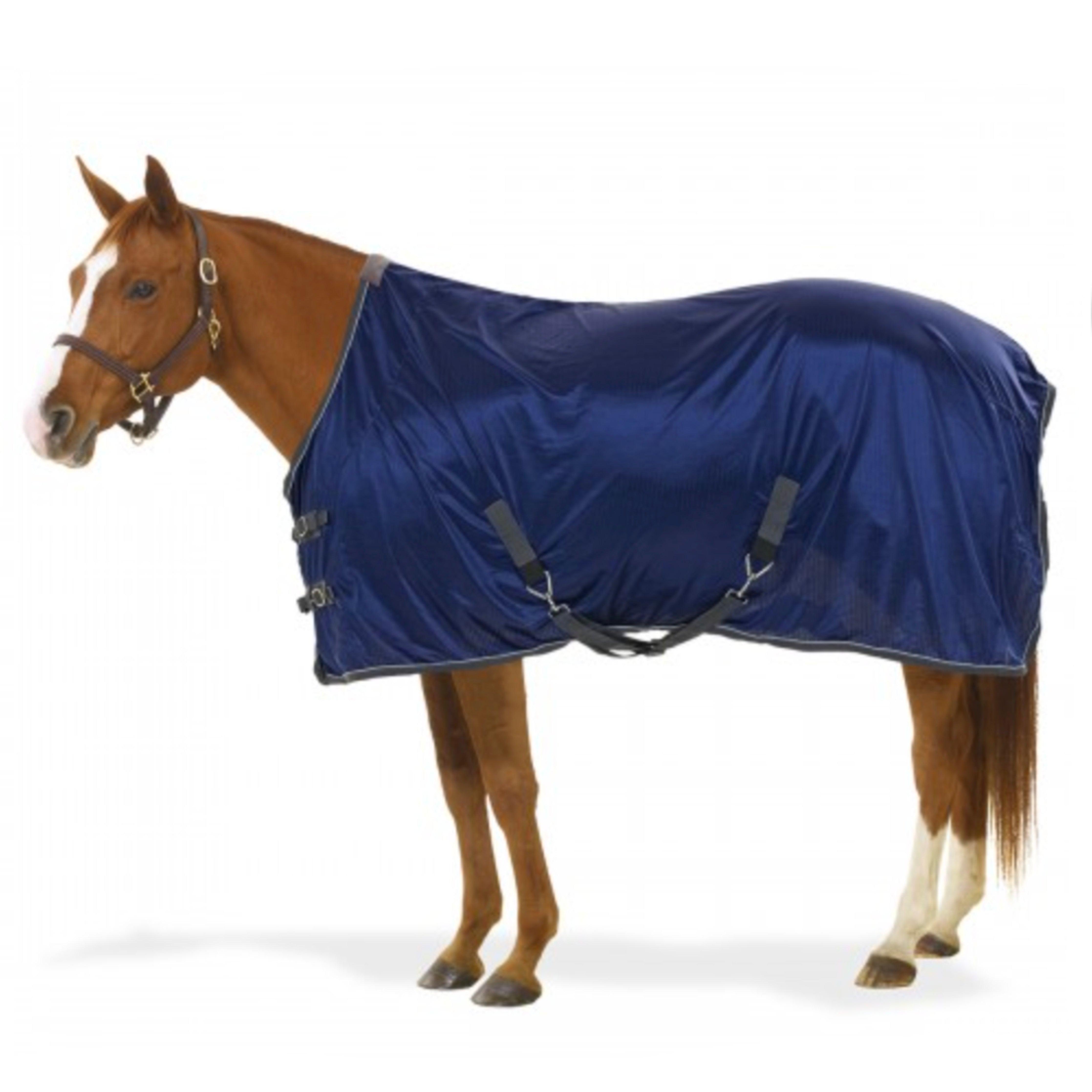 Centaur Athletic Airflex Stable Sheet