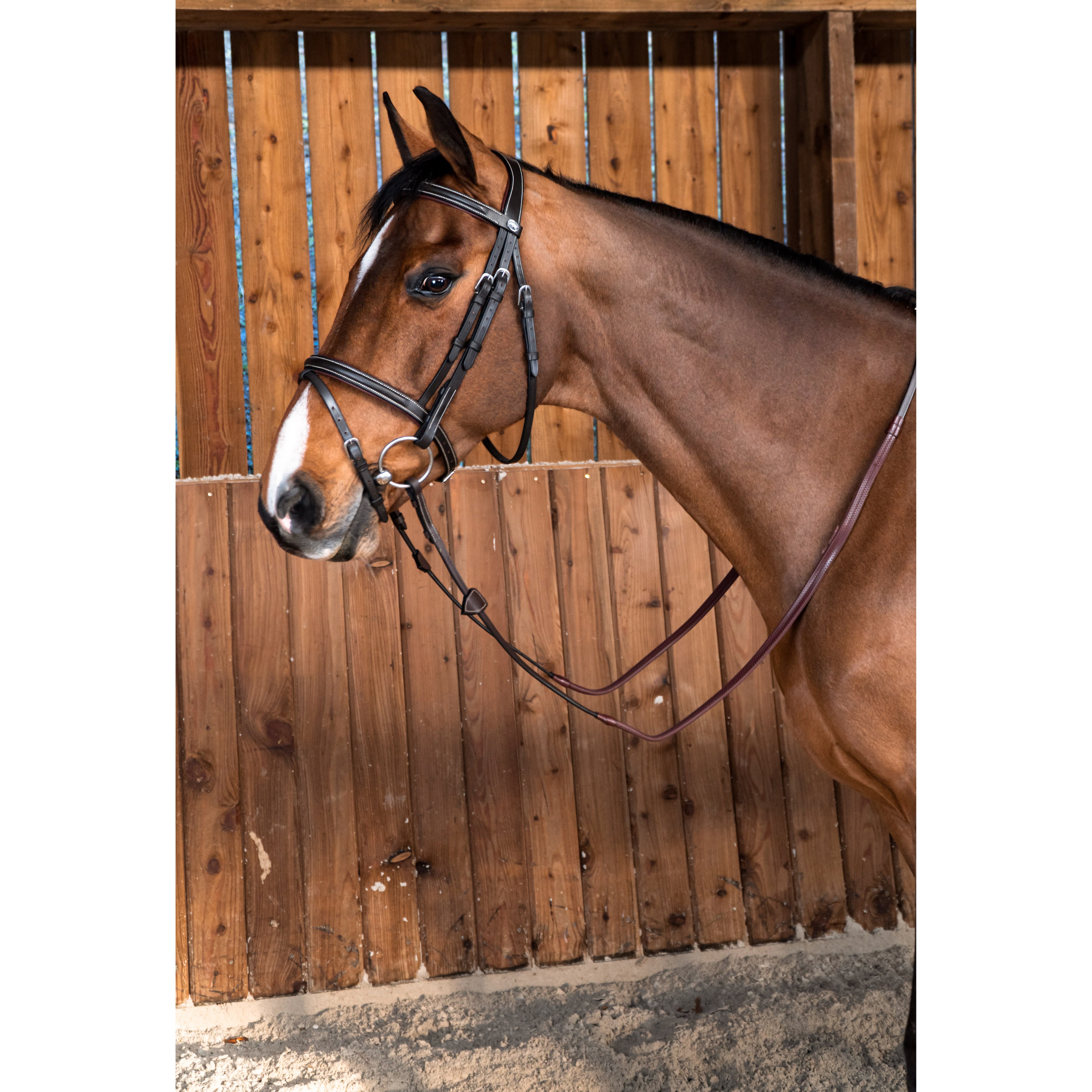 Dyon Working Classic Flash Bridle