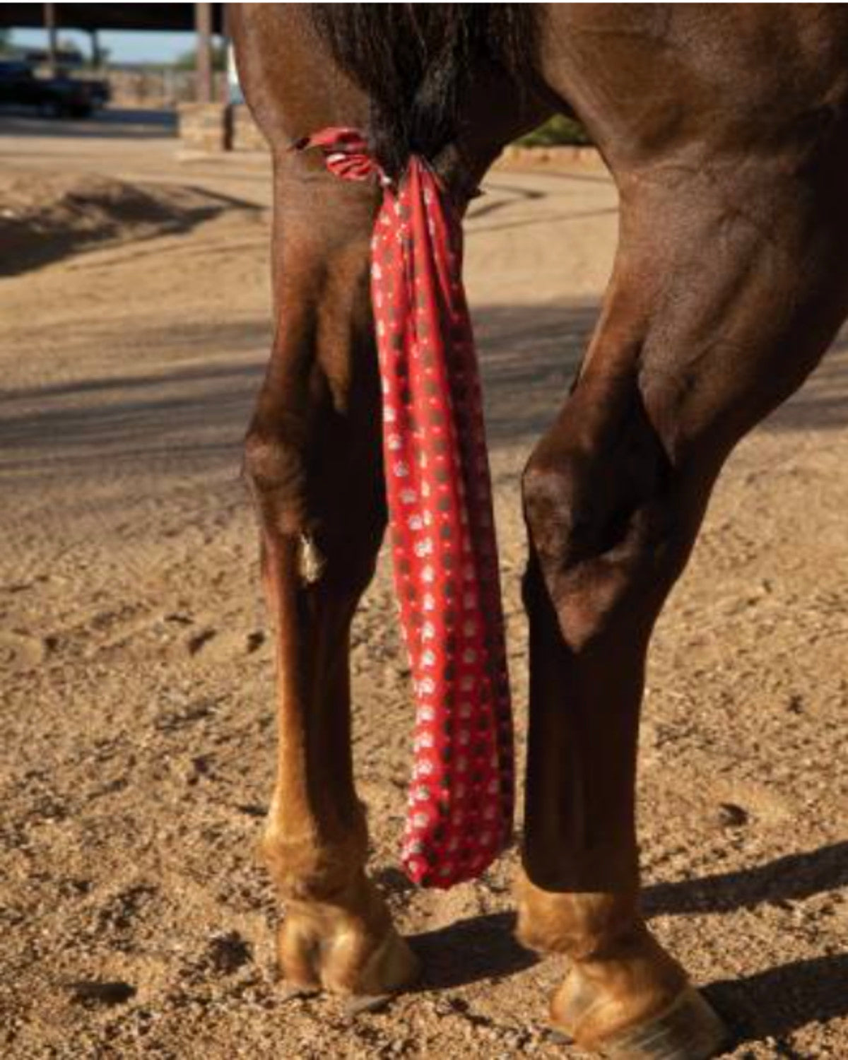 Tail Tamer - Large Horsehair Brush Assorted - System Equine