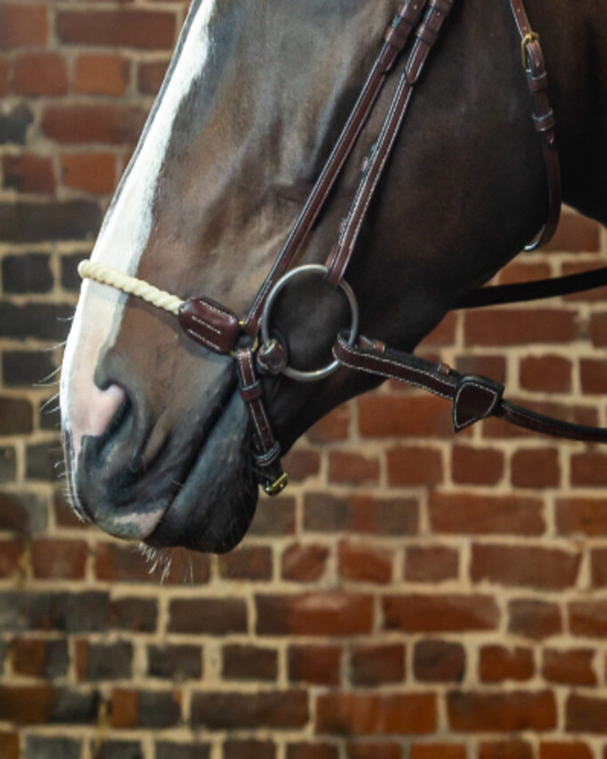 Dyon Rope Drop Crank Noseband