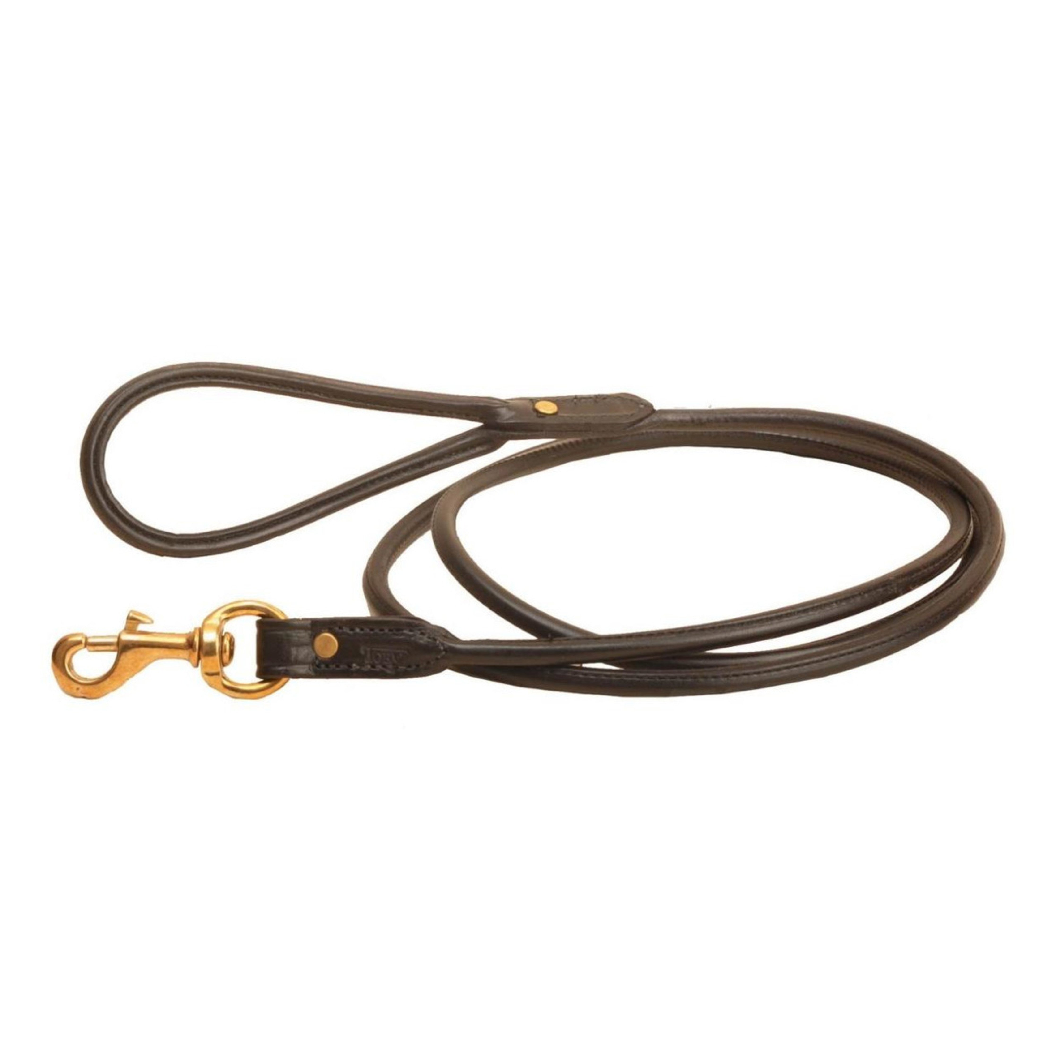 Tory Leather Dog Leash Rolled