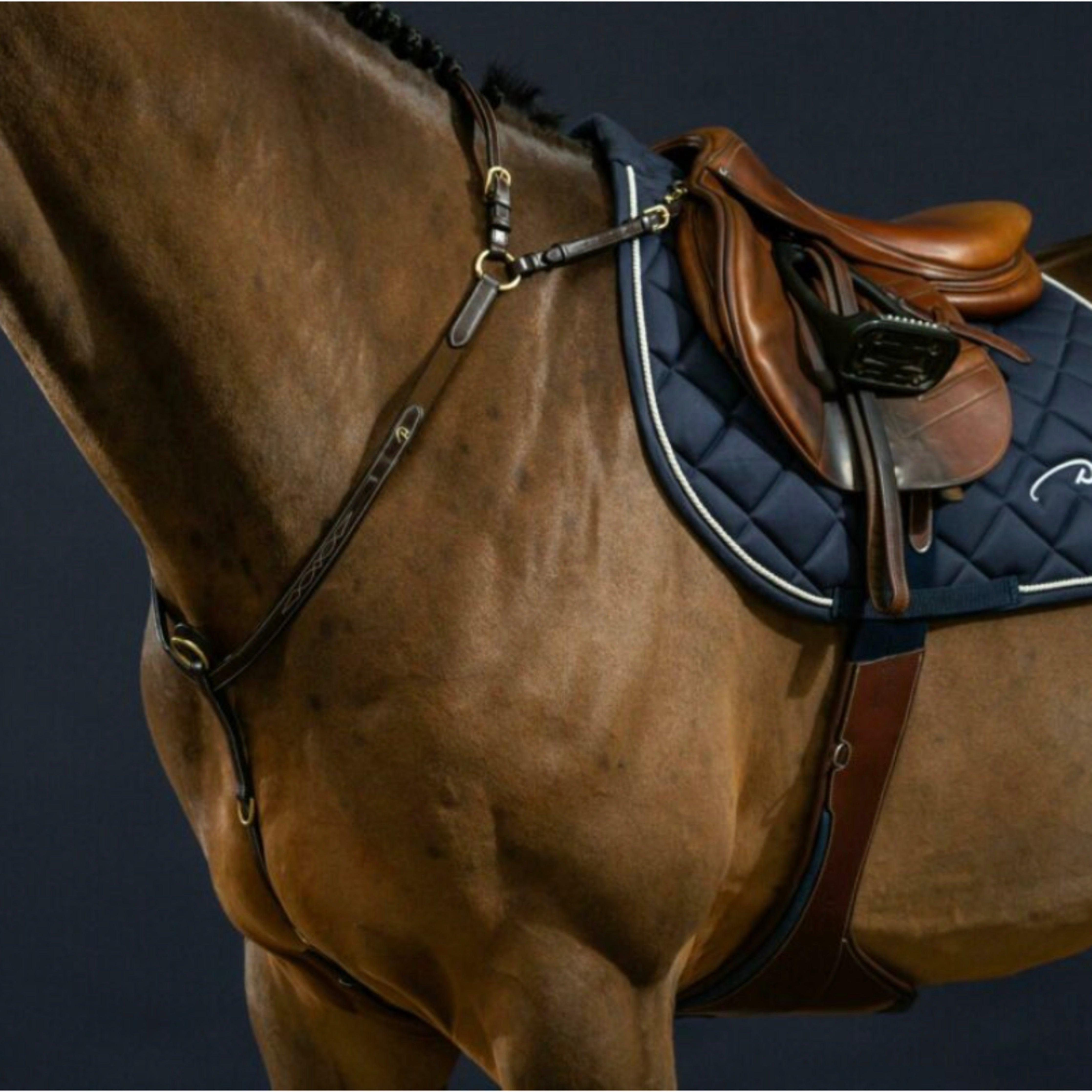 Dyon Elastic Bridge Breastplate