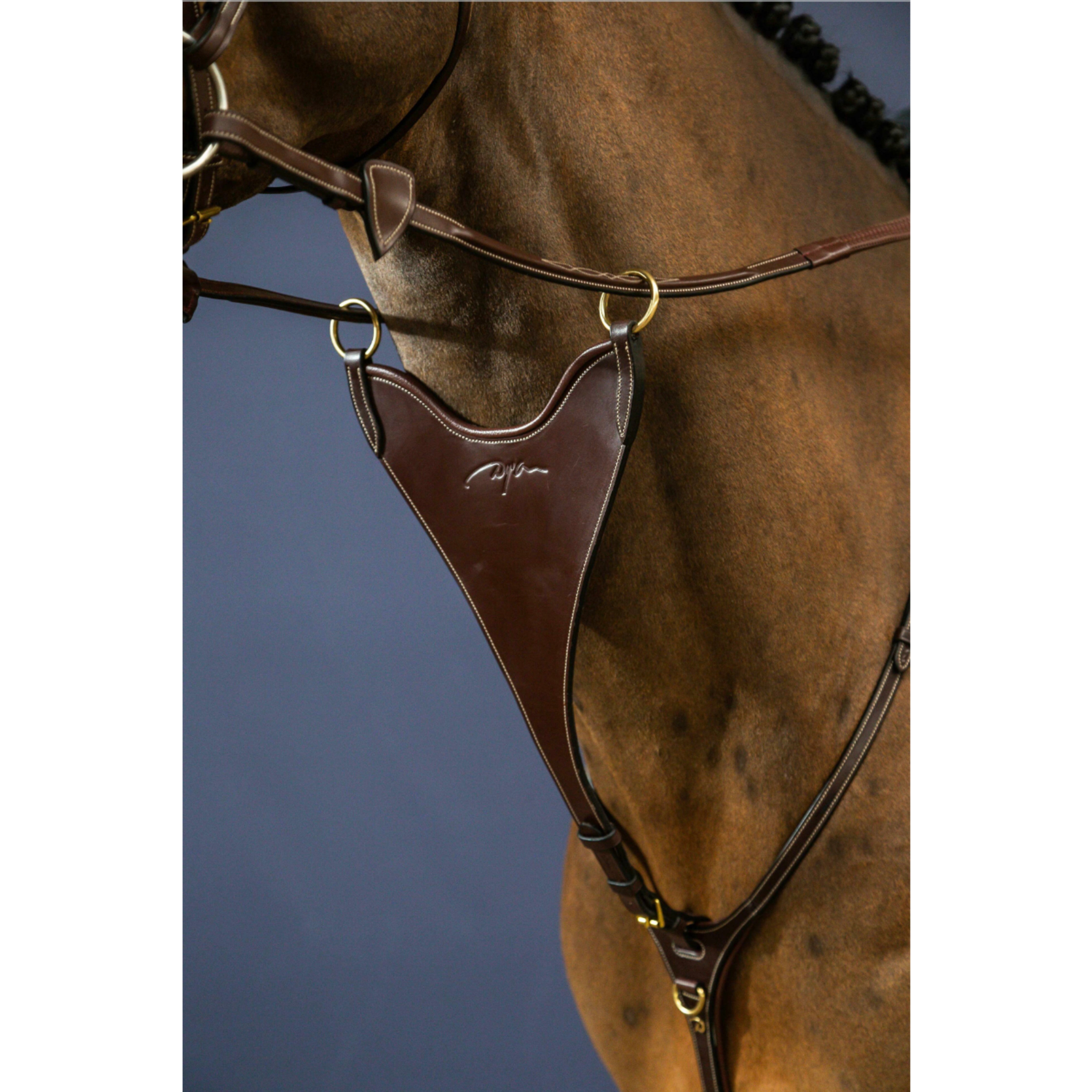 Dyon Hard Bib Martingale