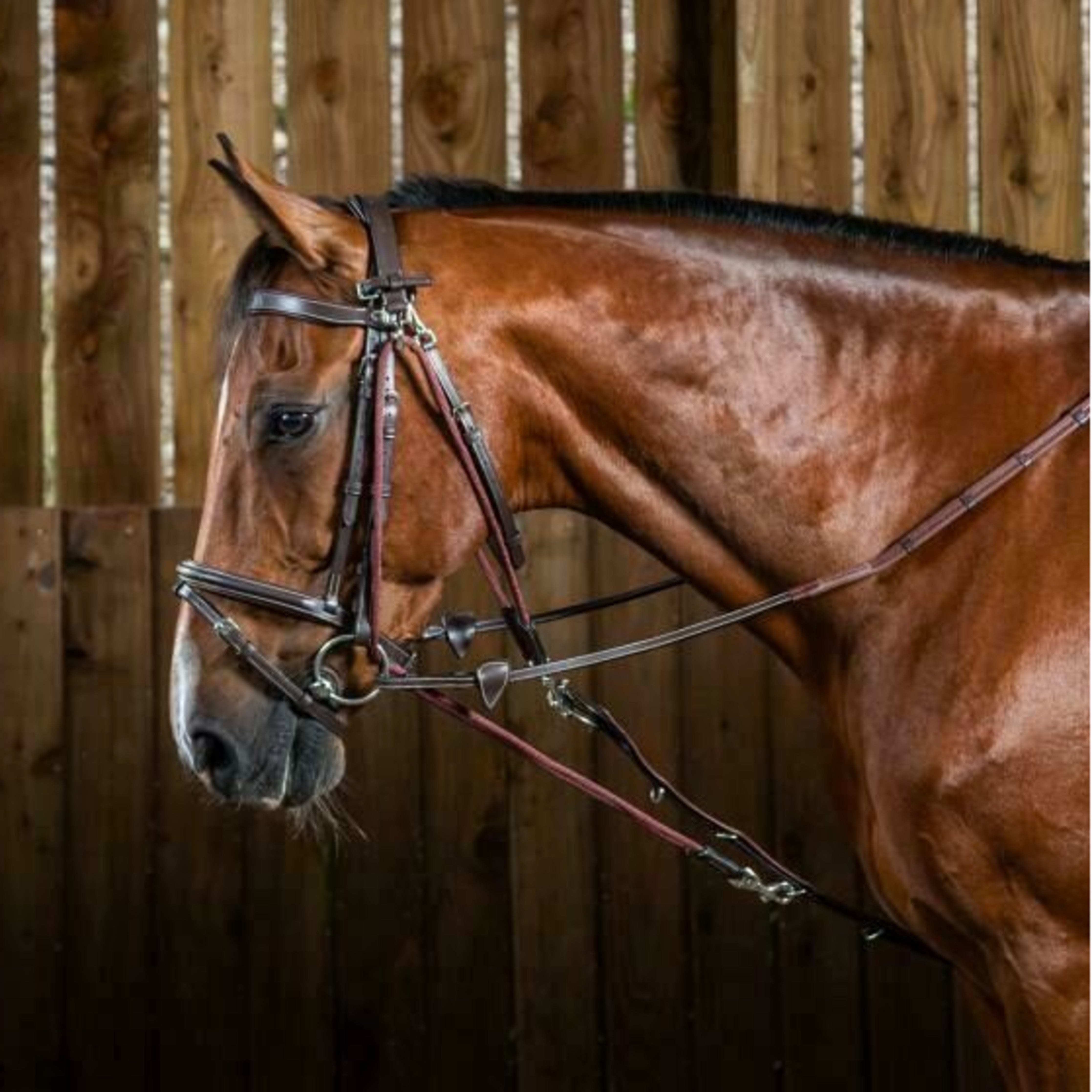 Dyon Working Gogue Martingale