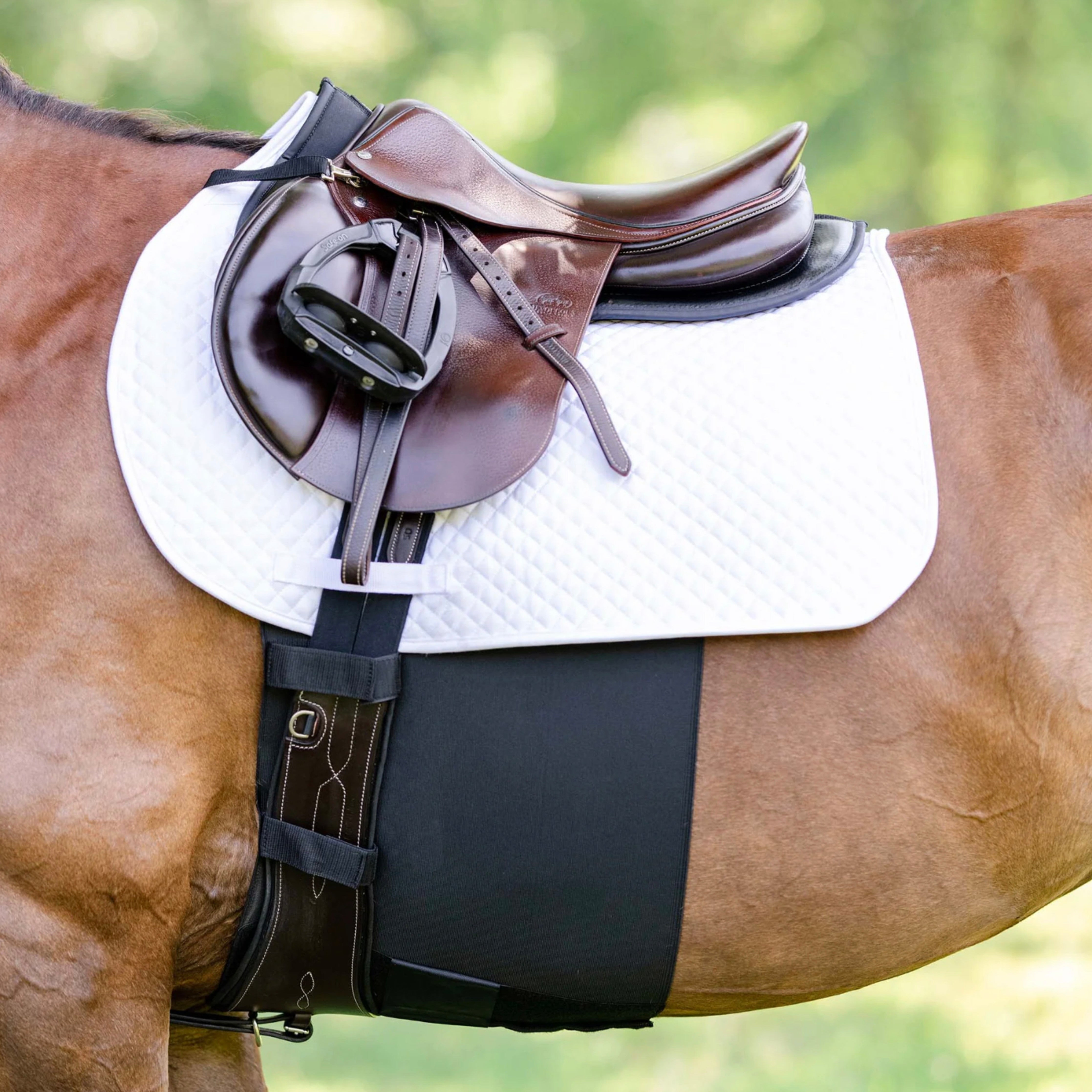 EquiFit Belly Band