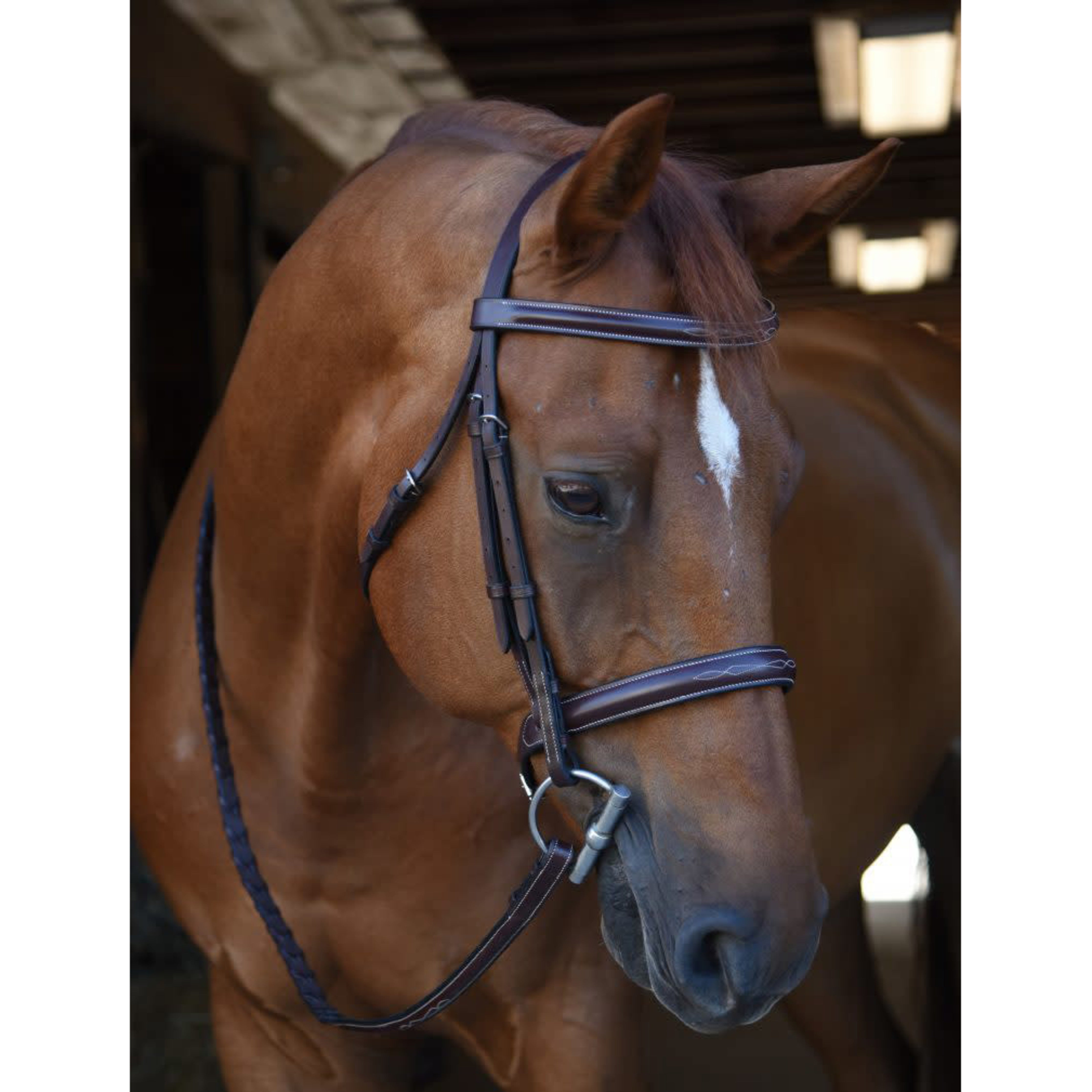 Black Oak Poppy Hunter Bridle