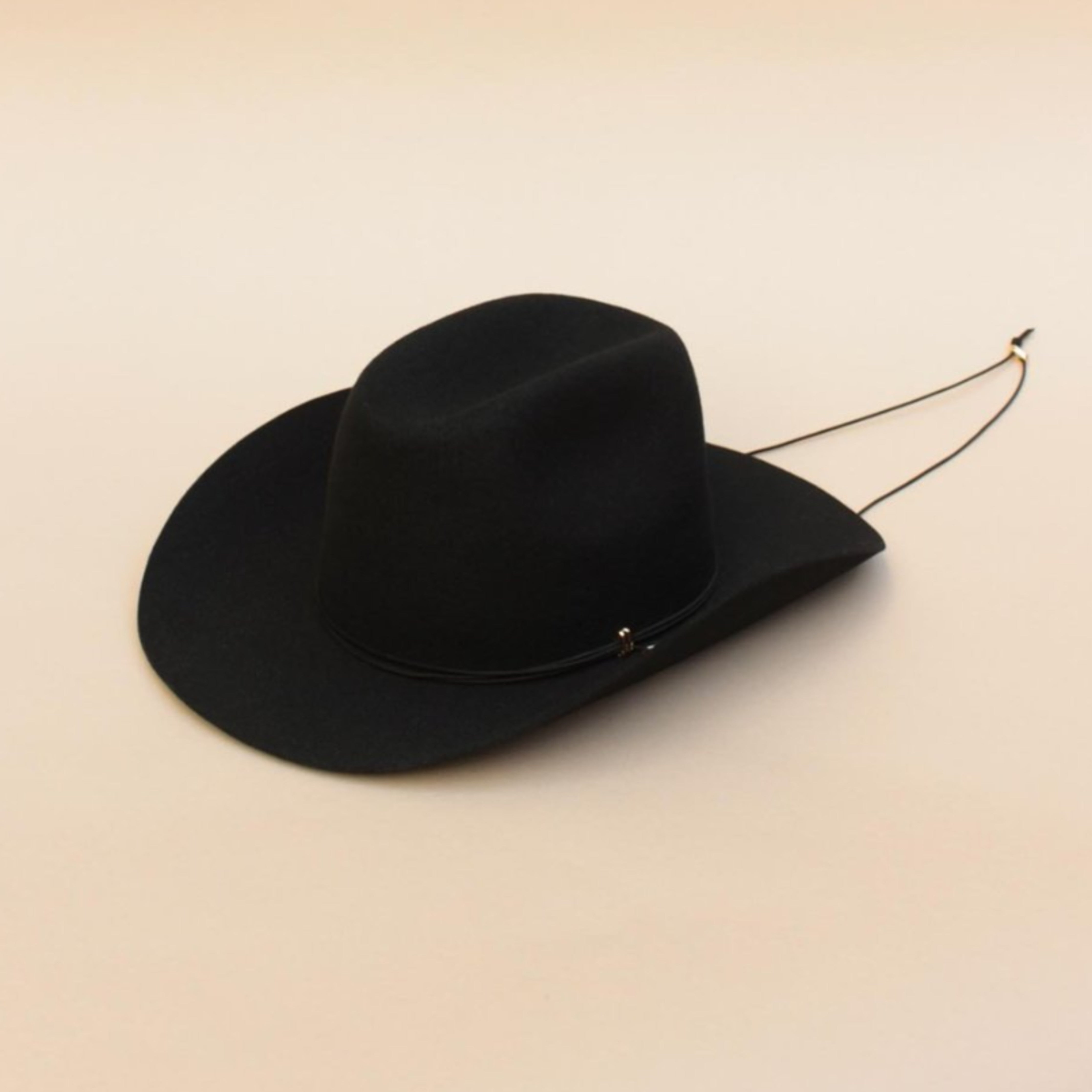 Van Palma Ezra Felt Cowboy Hat