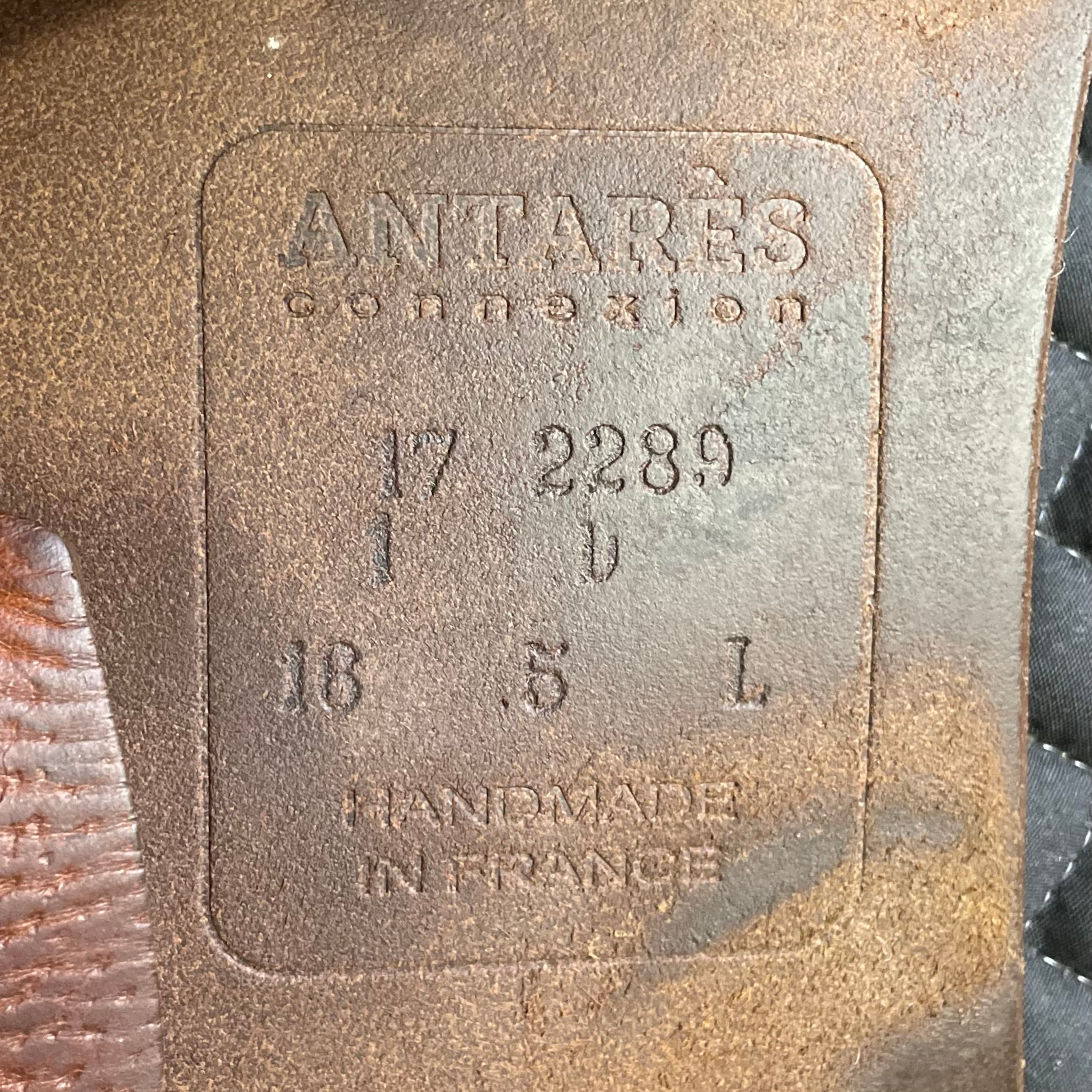 Antares Connexion Saddle 16.5" 1D