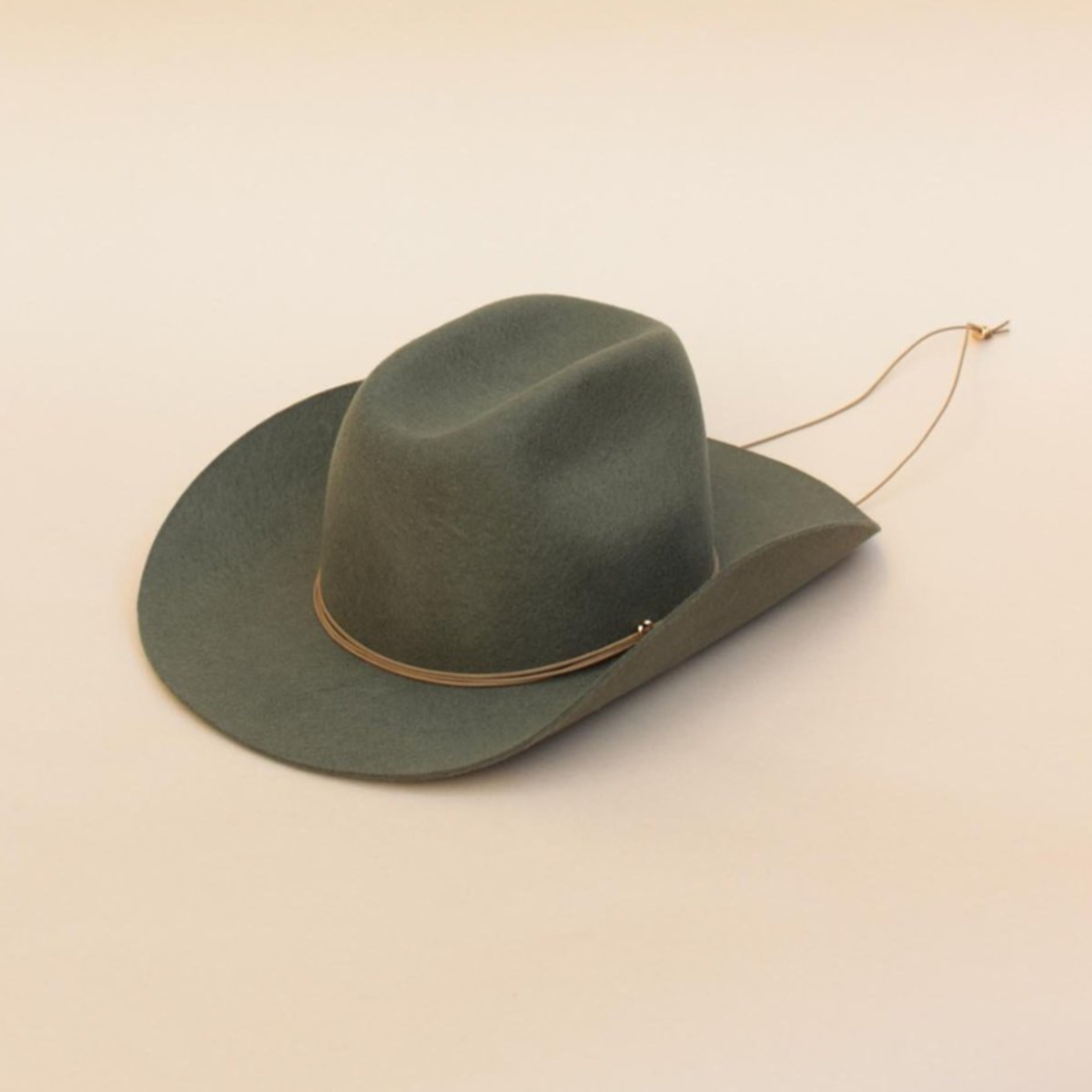 Van Palma Ezra Felt Cowboy Hat