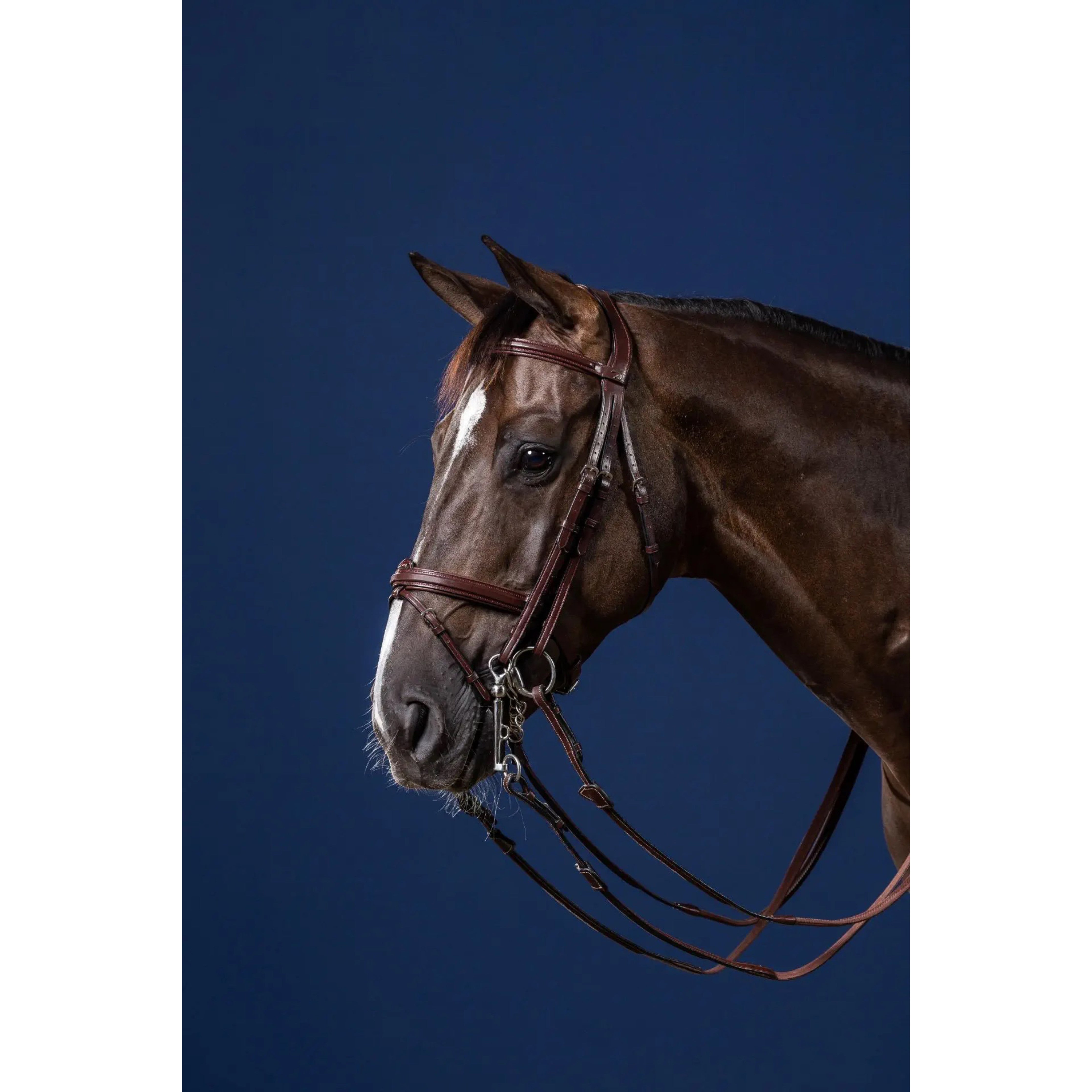 Dyon Double Bridle w/ Flash