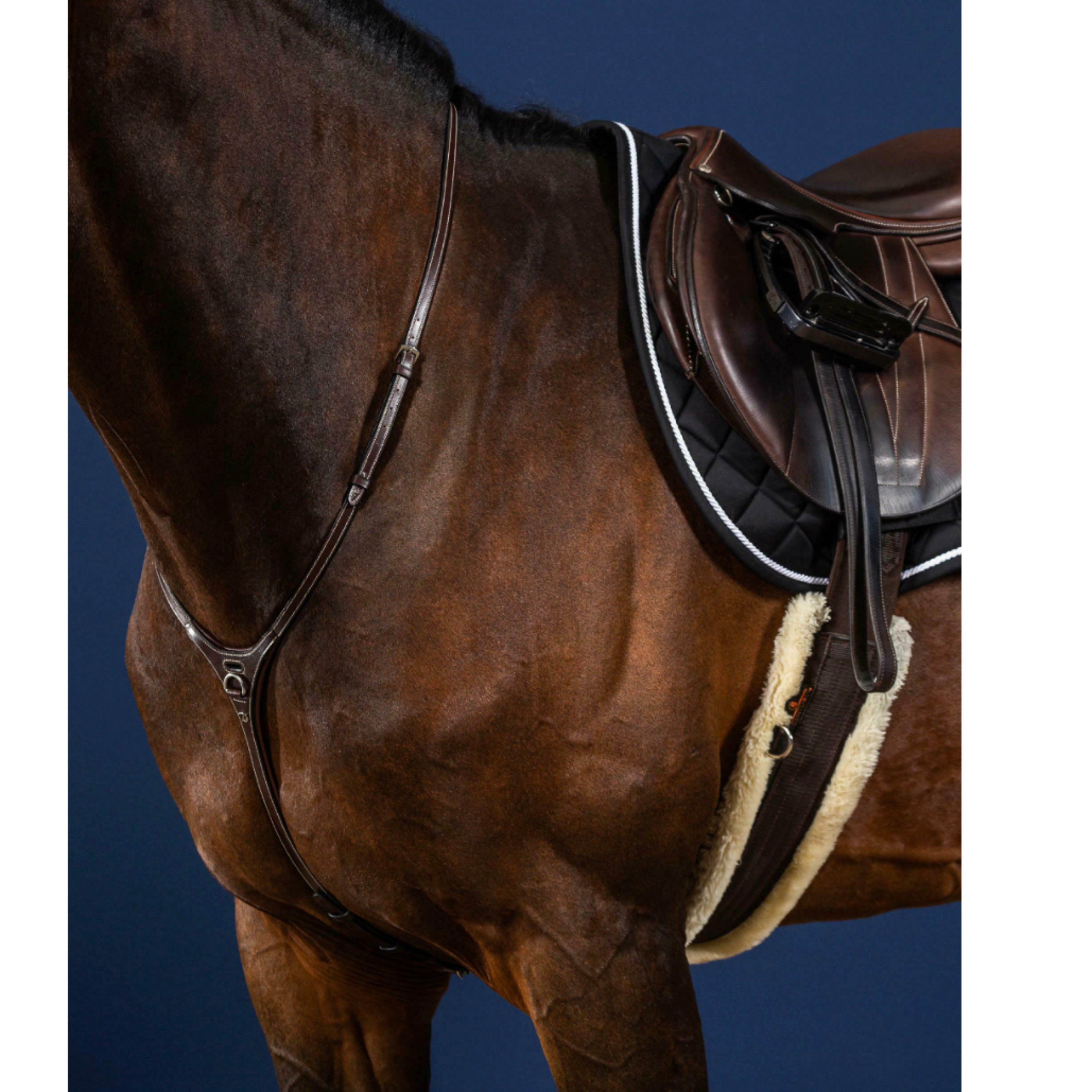 Dyon Yoke Martingale