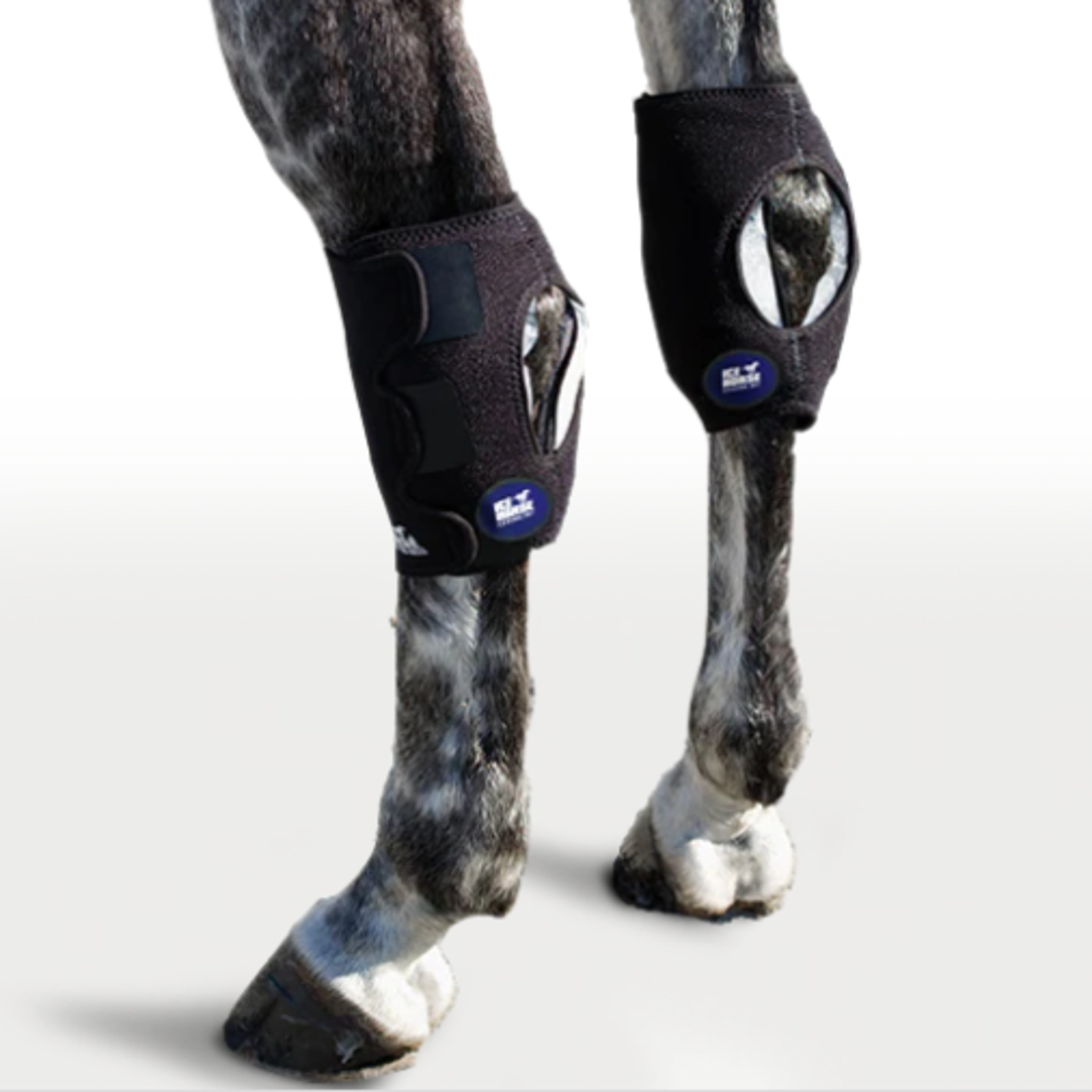 Ice Horse Hock Wrap pair