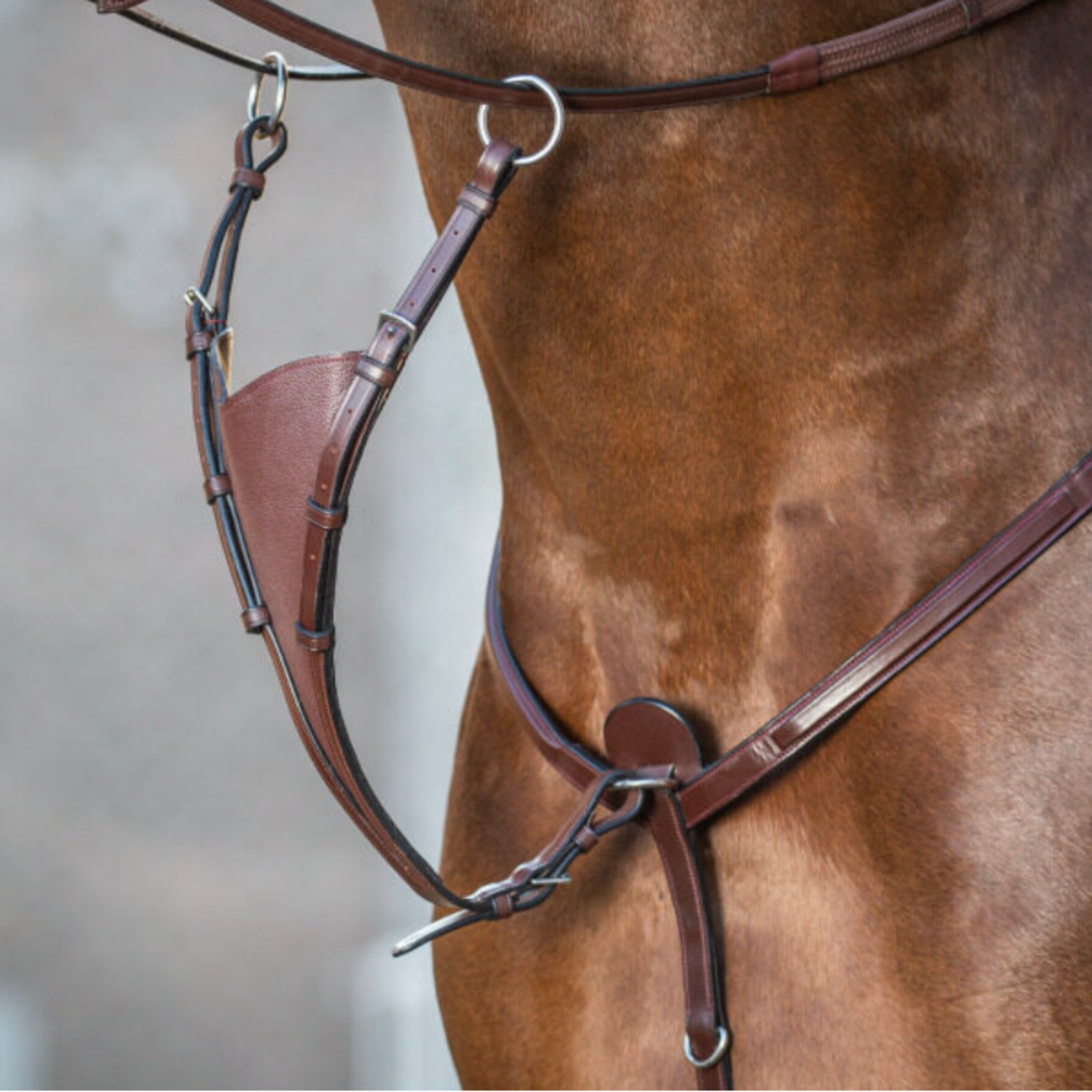 Dyon Soft Bib Martingale