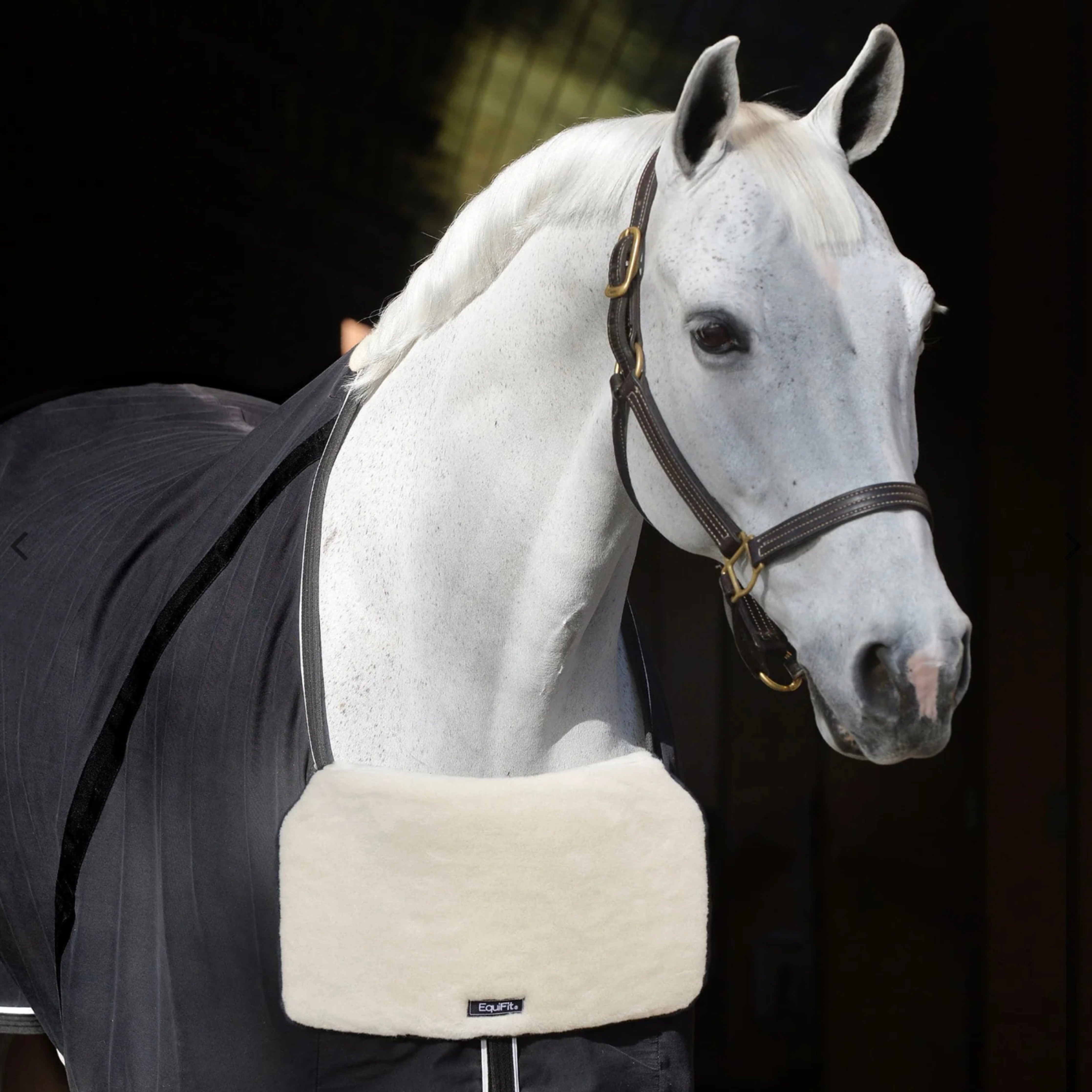 EquiFit Blanket Bib