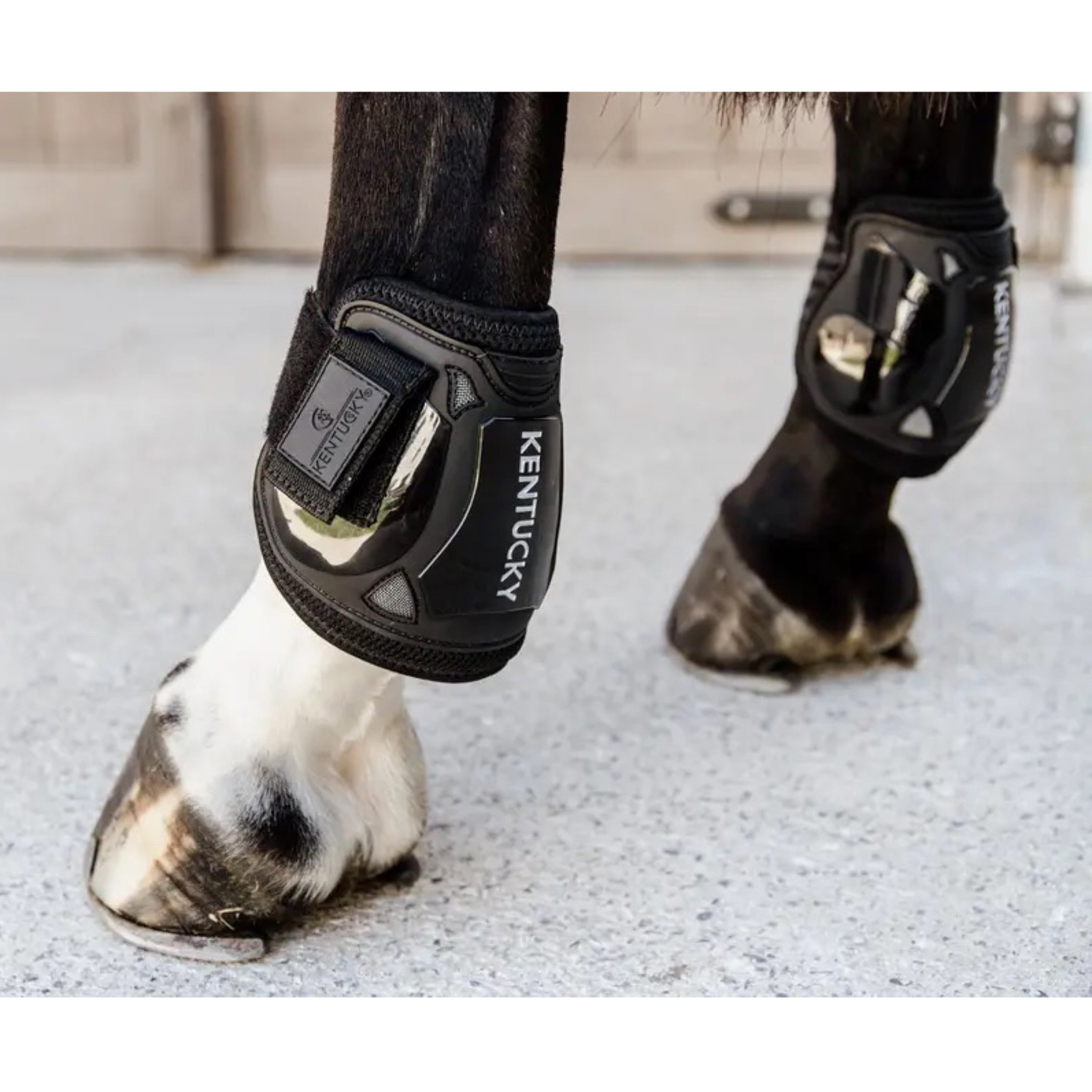 Kentucky Hind Moonboots Air Velcro (FEI Young Horse)