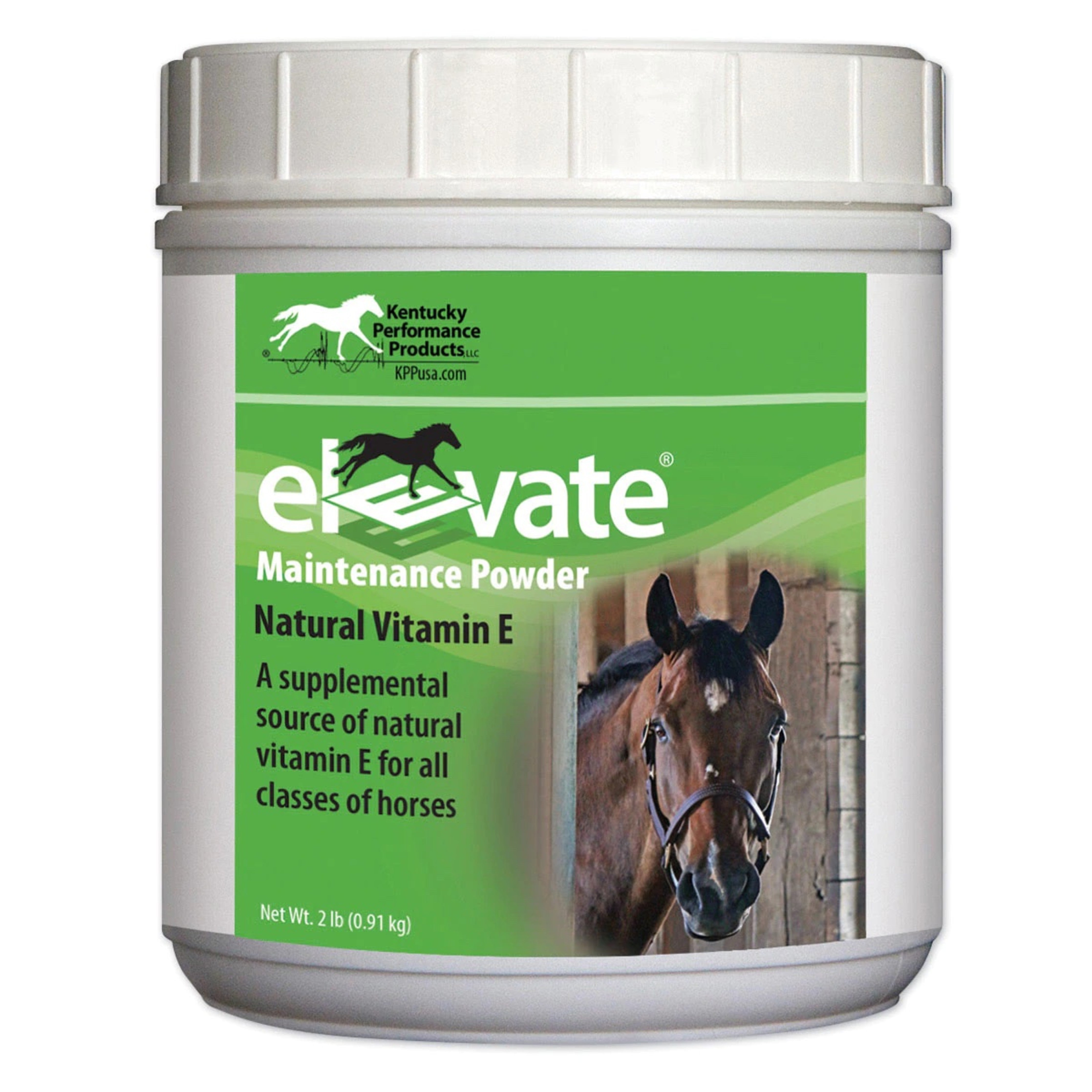 Elevate Maintenance Powder 2lb