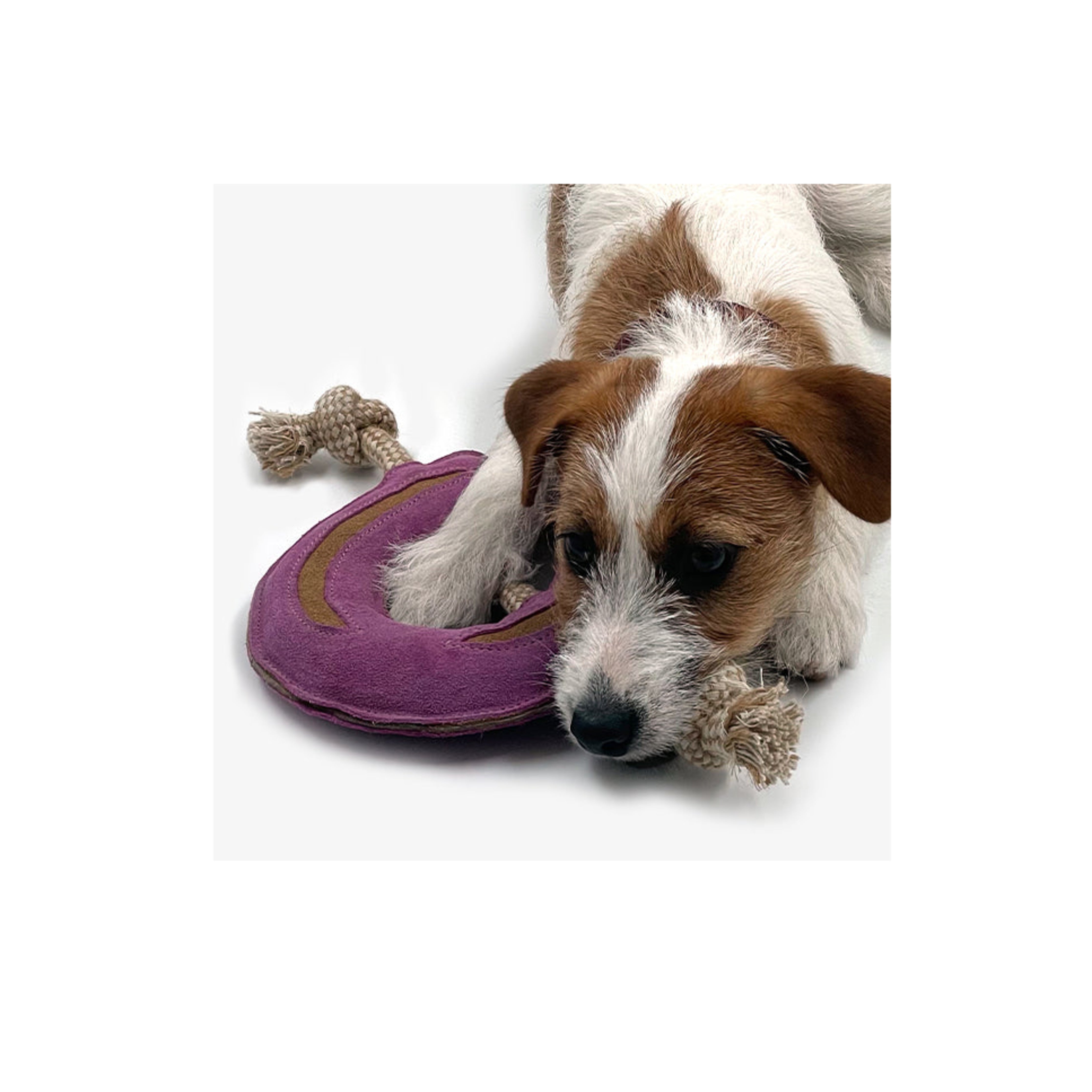 Get the Gallop Suede Dog Toy