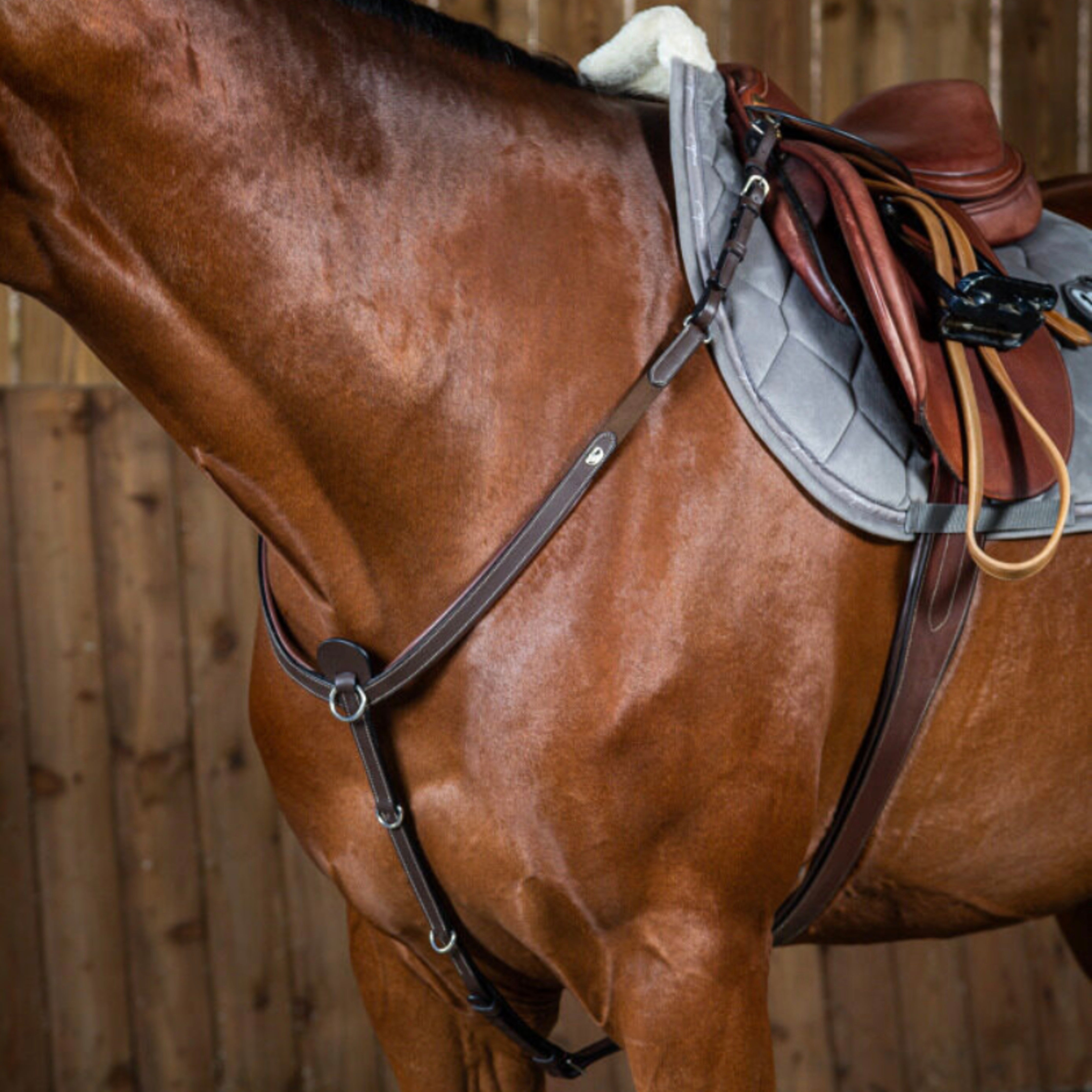 Dyon Working Breastplate