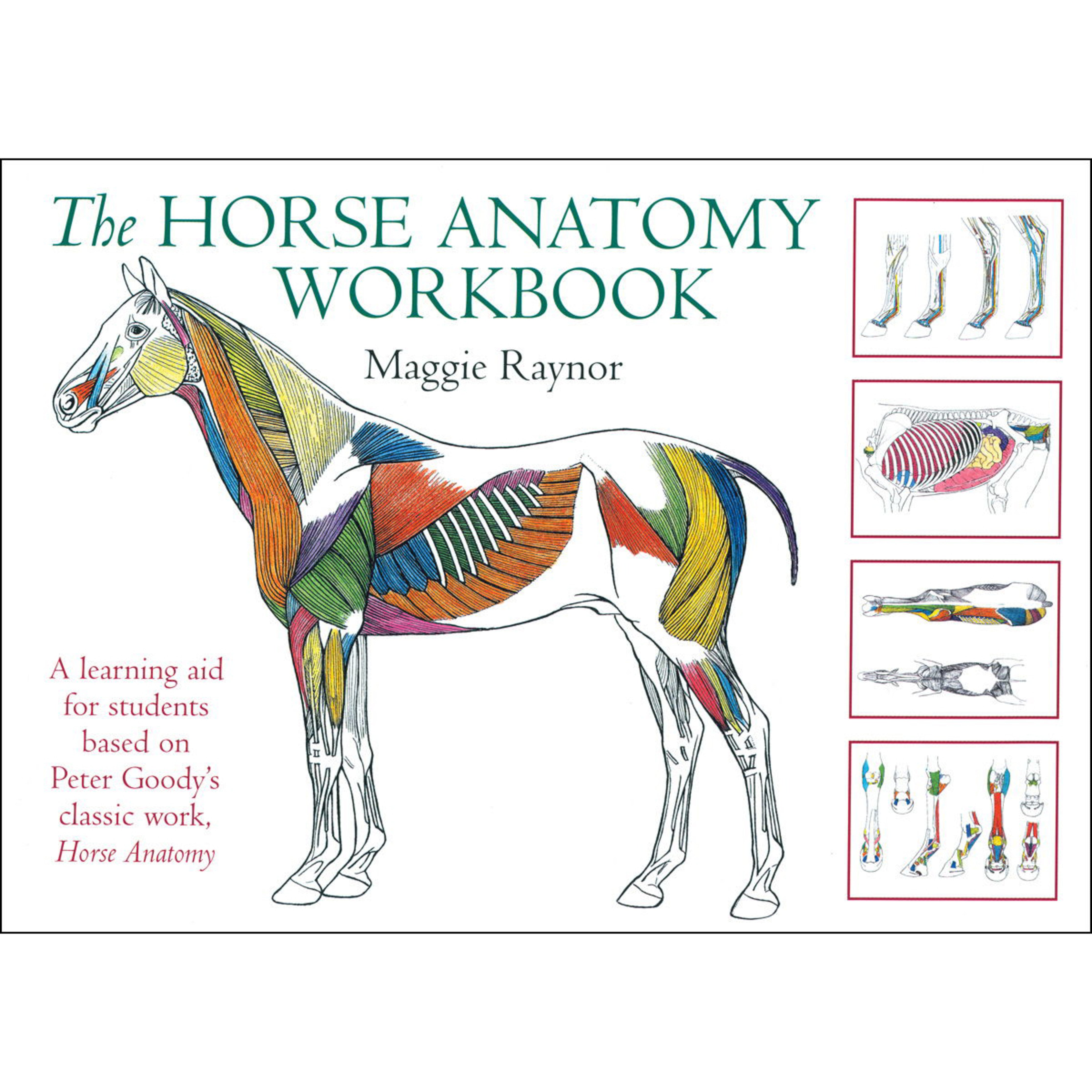 Horse Anatomy Workbook