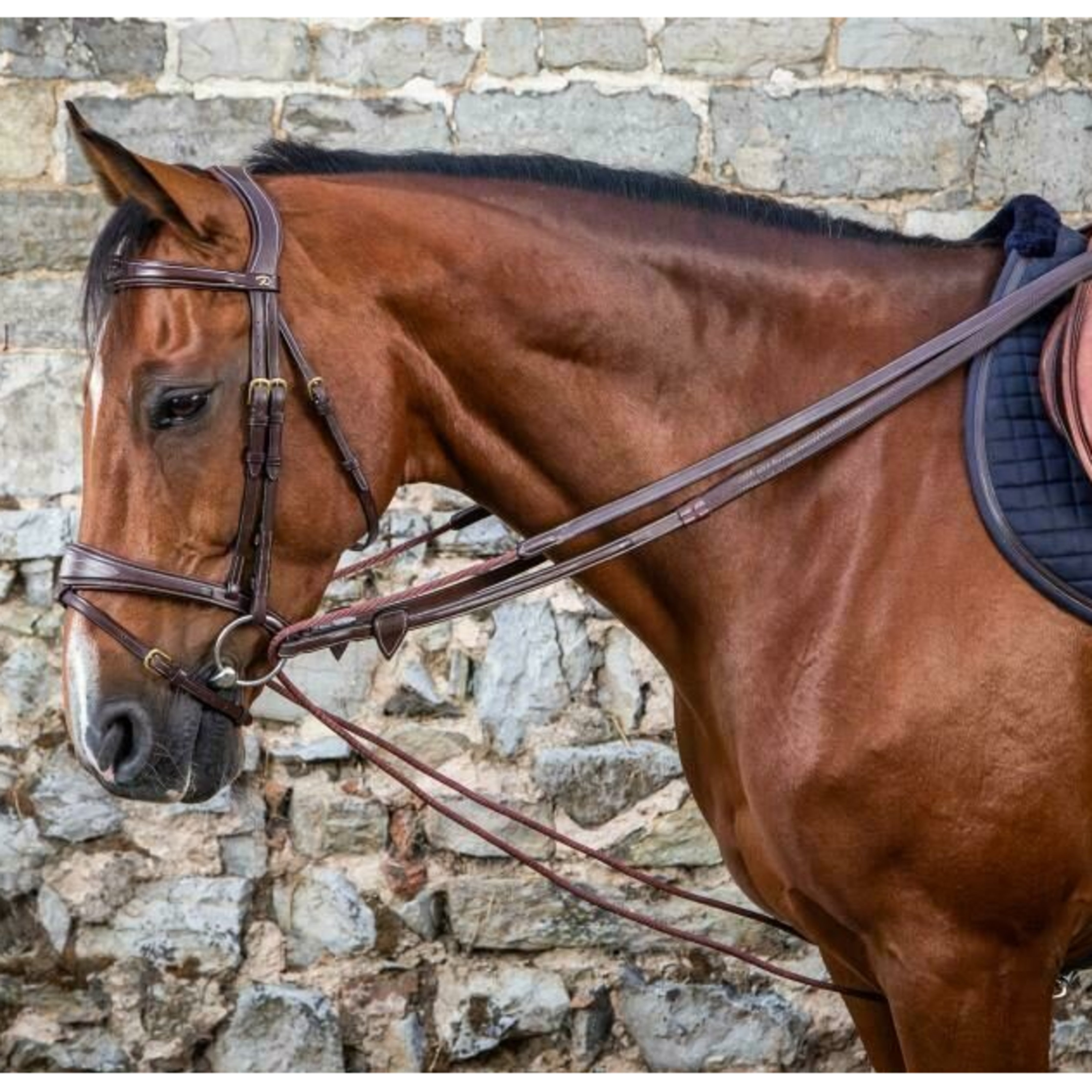 Dyon Draw Reins Leather & Rope