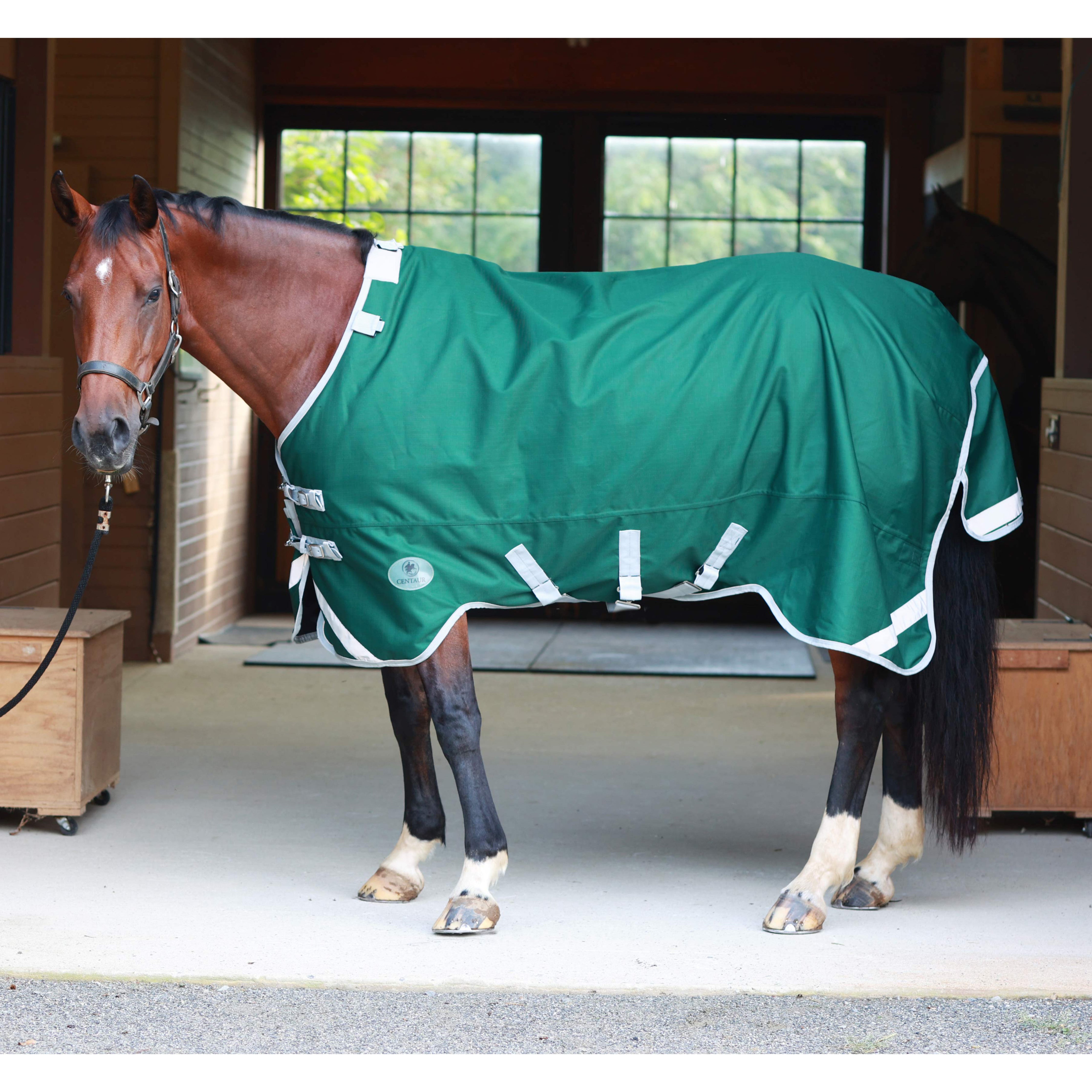 Centaur TG1 Turnout Blanket 100g