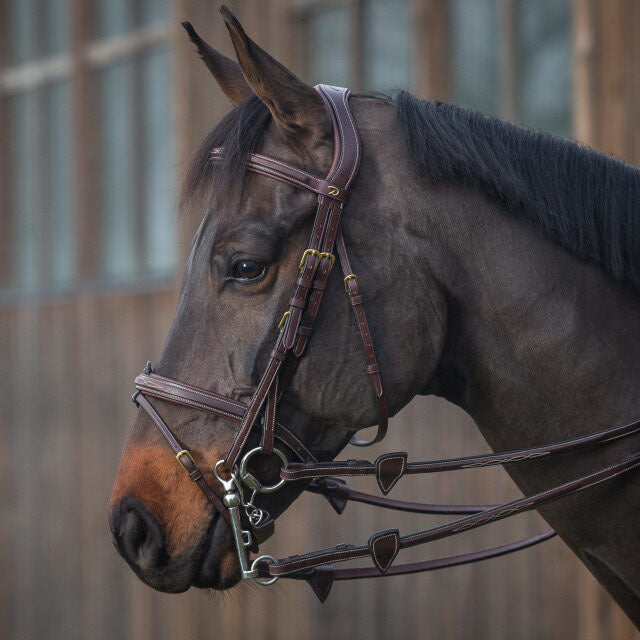 Dyon Double Bridle Converter brass