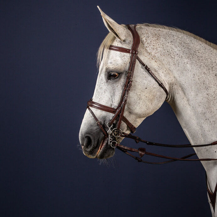 Dyon Double Bridle Converter steel