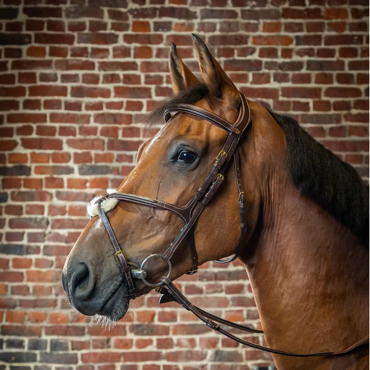 Bridles